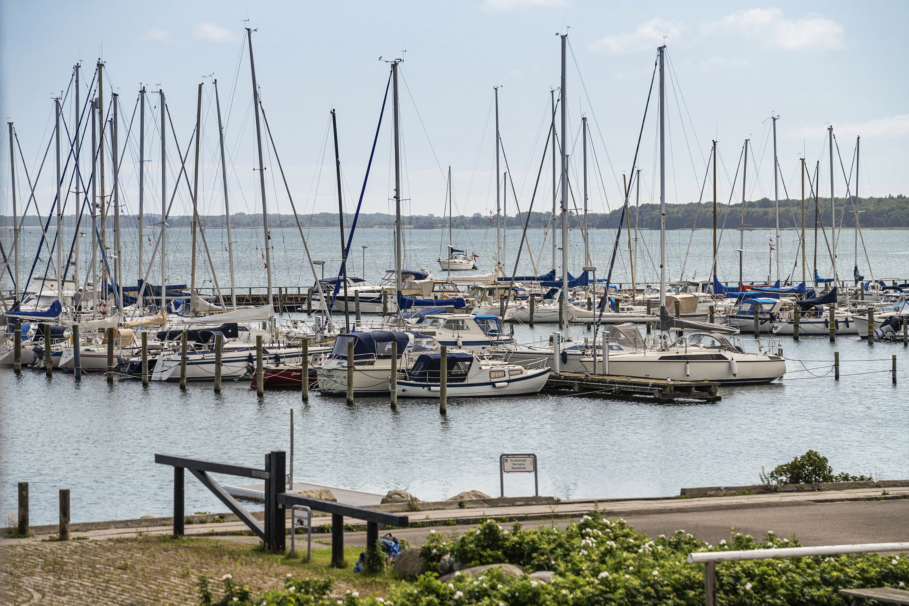 Fremhævet havudsigt billede i fuldskærmstilstand. Billede af Langelinie 14D, 8700 Horsens