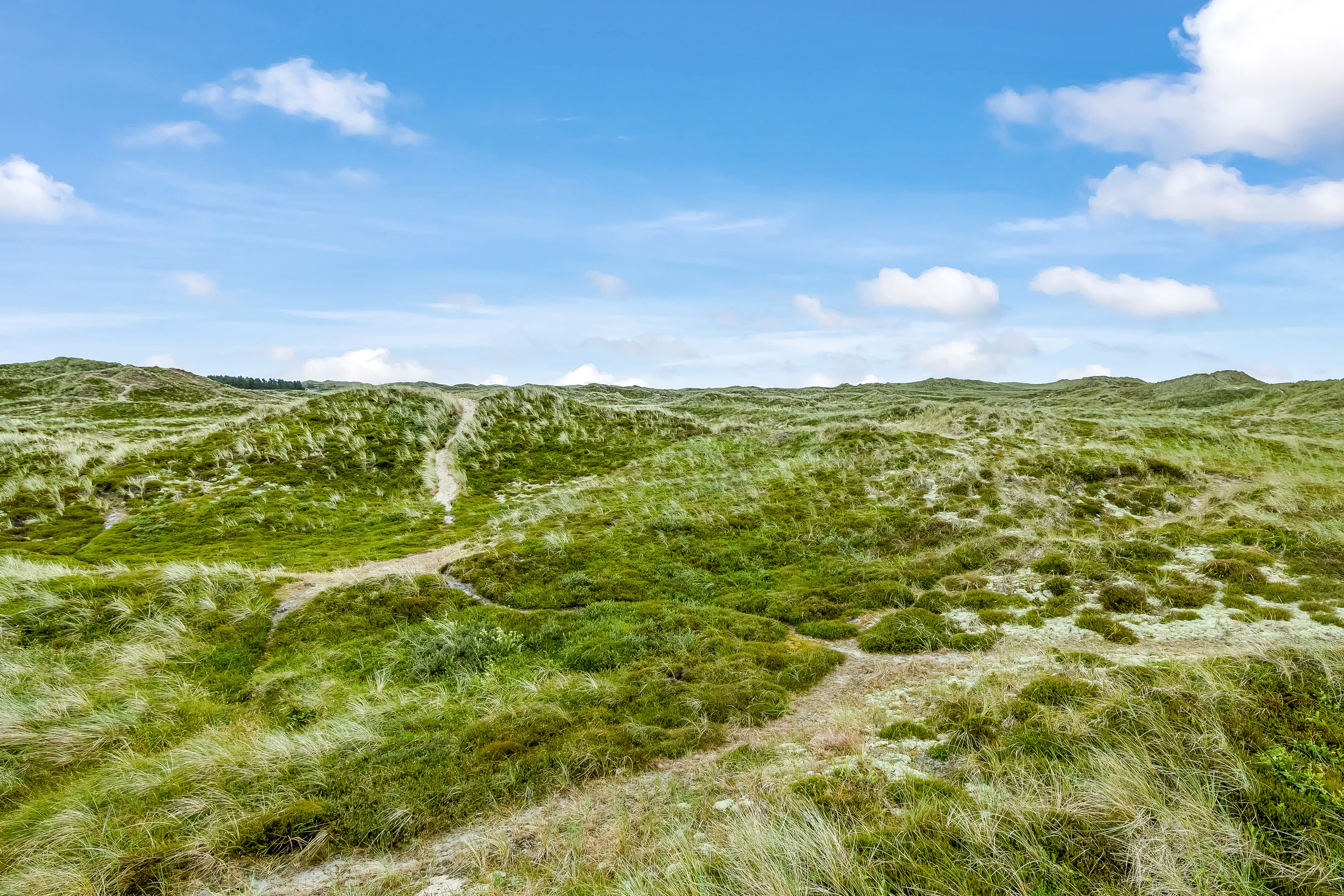 Miniaturebillede 1: udsigt. Billede af Havklitvej 101, Klegod, 6950 Ringkøbing