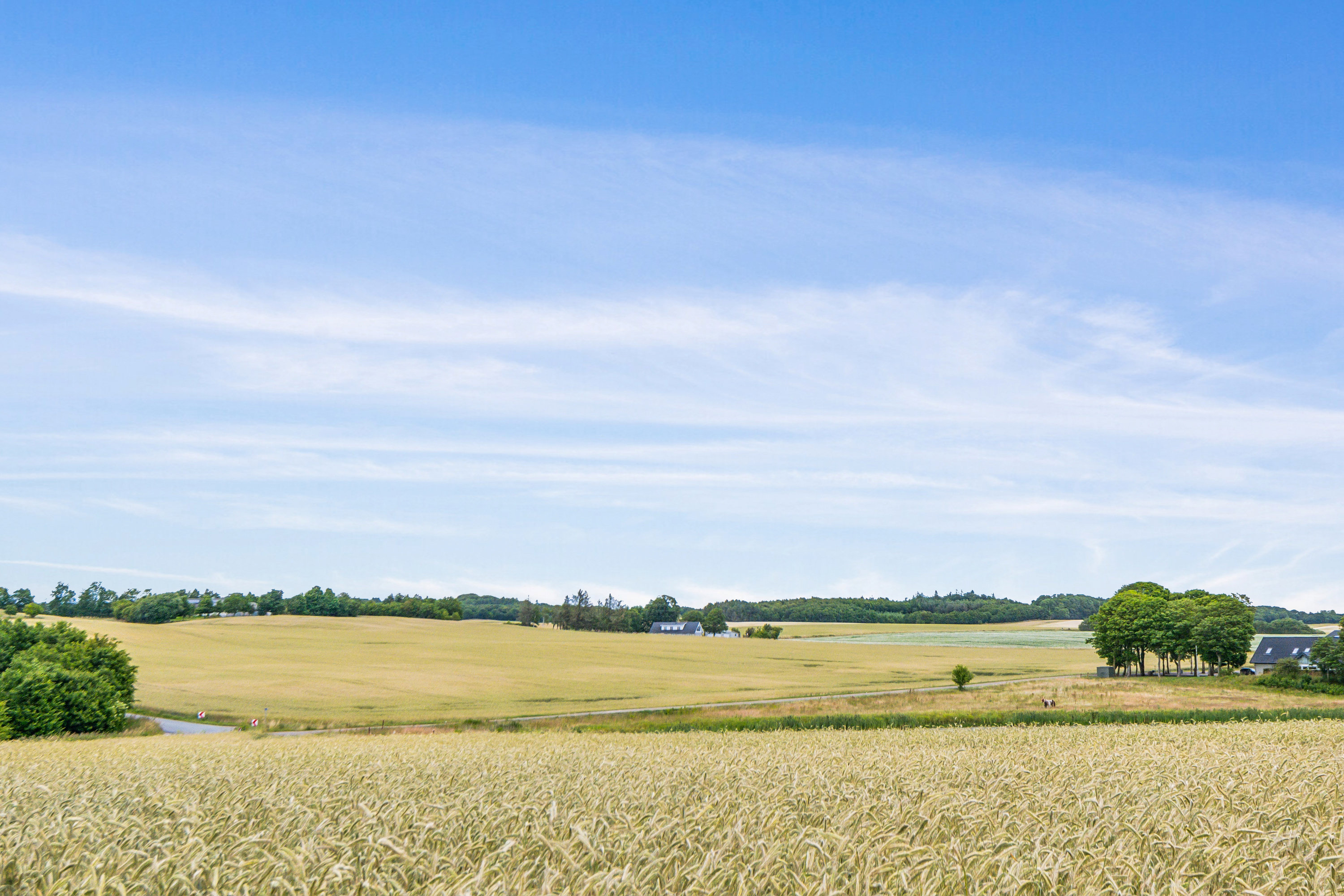 Fremhævet omgivelser billede i fuldskærmstilstand. Billede af Nøvlingvej 201, Nøvling , 9260 Gistrup