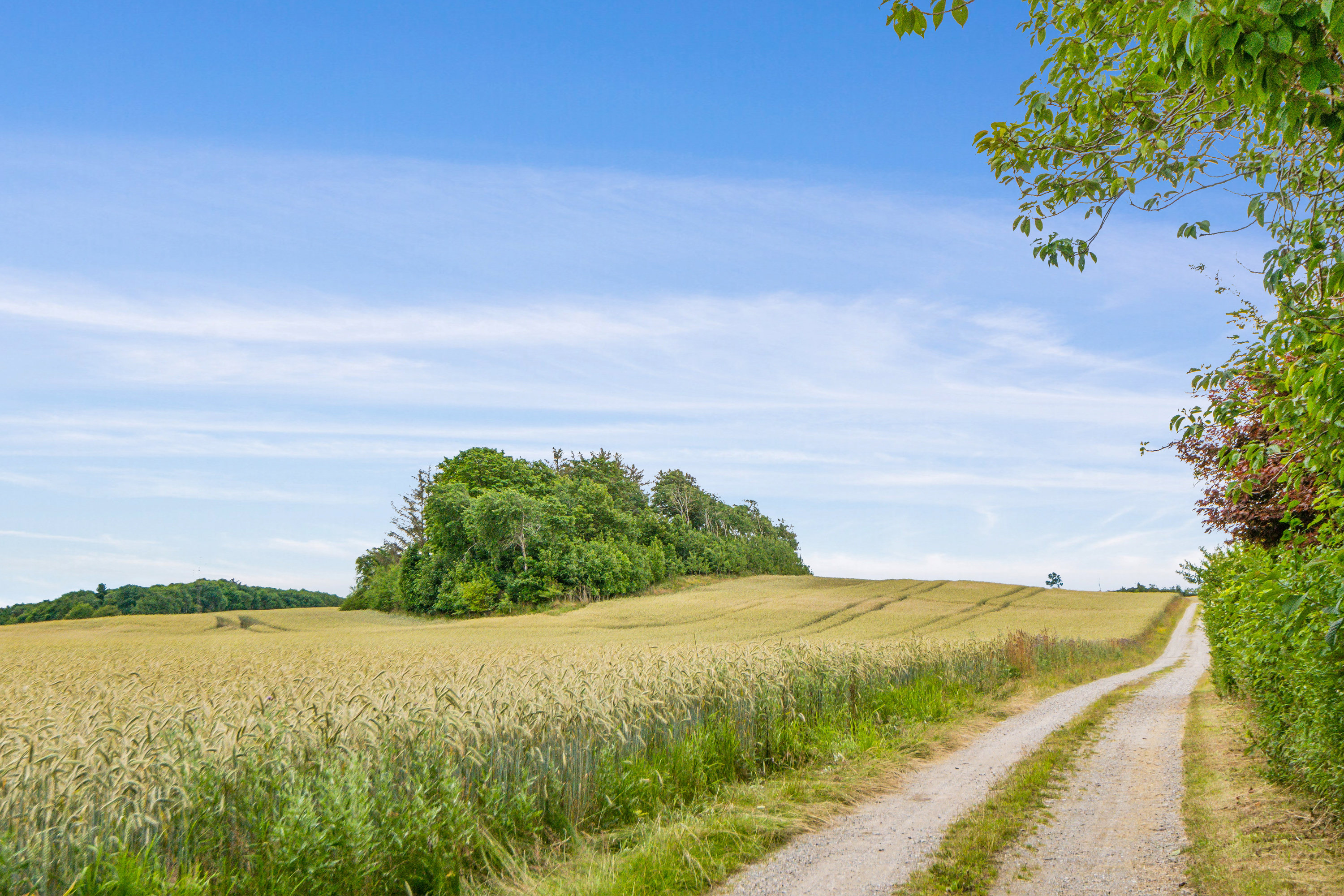 Fremhævet udsigt billede i fuldskærmstilstand. Billede af Nøvlingvej 201, Nøvling , 9260 Gistrup