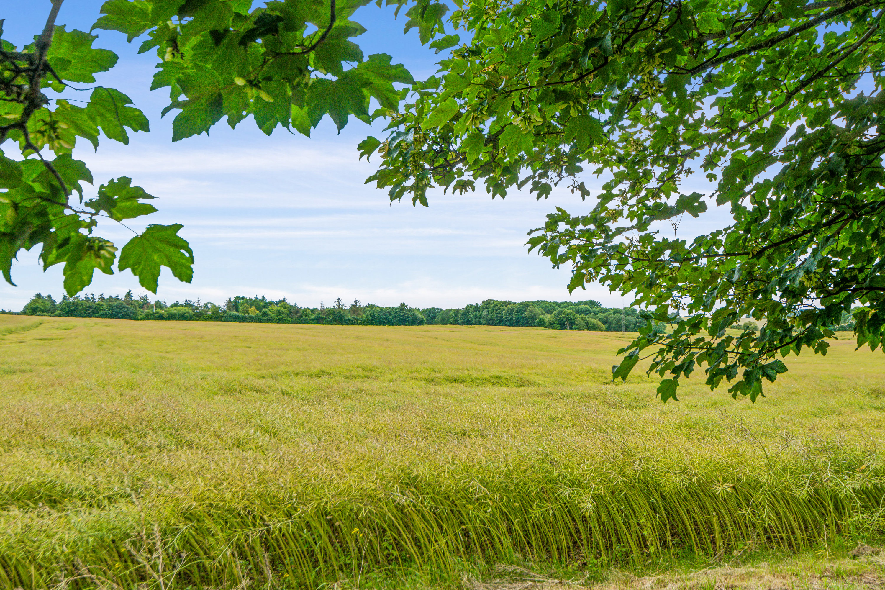 Fremhævet omgivelser billede i fuldskærmstilstand. Billede af Nøvlingvej 201, Nøvling , 9260 Gistrup