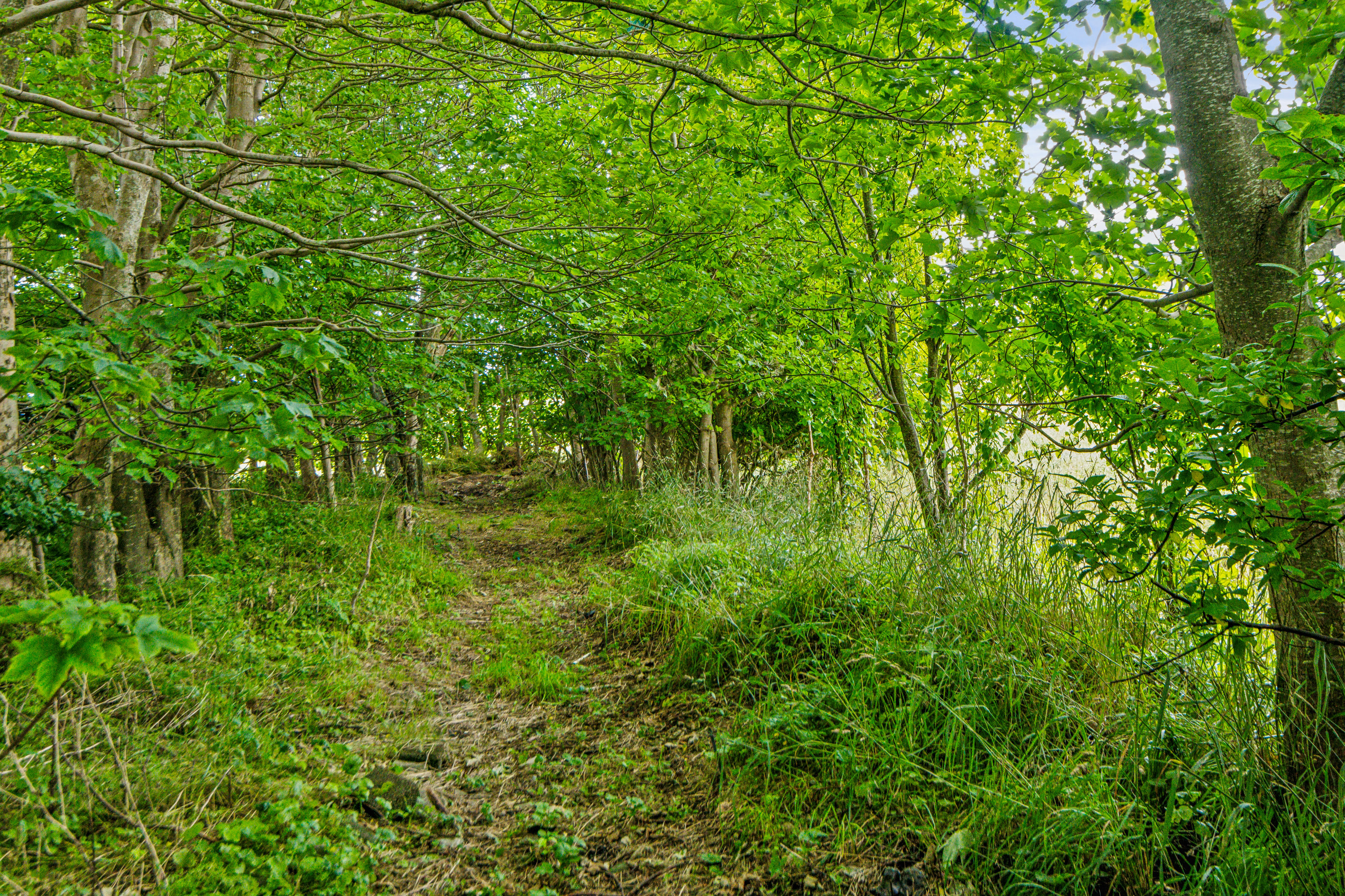 Fremhævet område billede i fuldskærmstilstand. Billede af Nøvlingvej 201, Nøvling , 9260 Gistrup