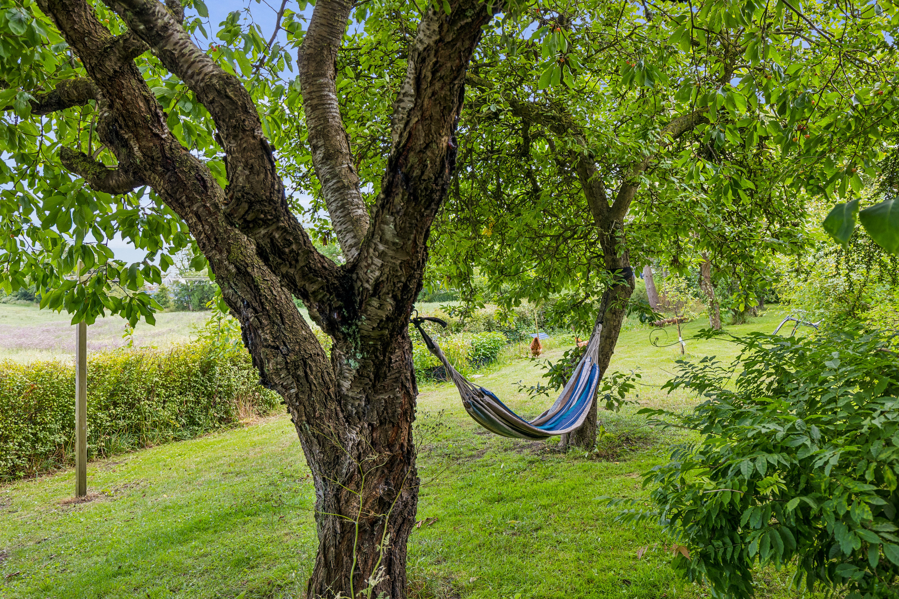 Fremhævet have billede i fuldskærmstilstand. Billede af Bjergstedvej 15, 4460 Snertinge