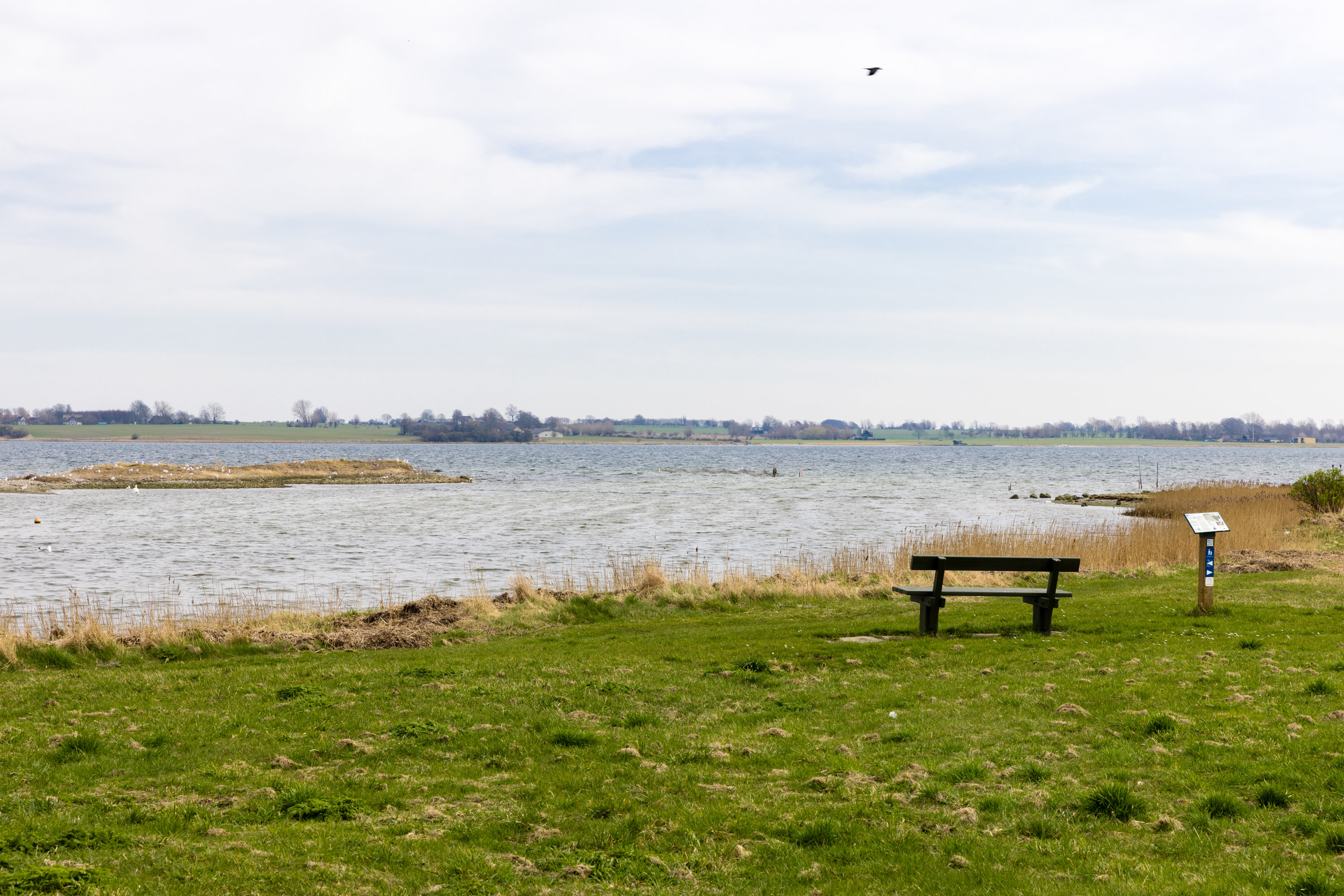 Fremhævet  billede i fuldskærmstilstand. Billede af Syvstjernen 4, 5330 Munkebo