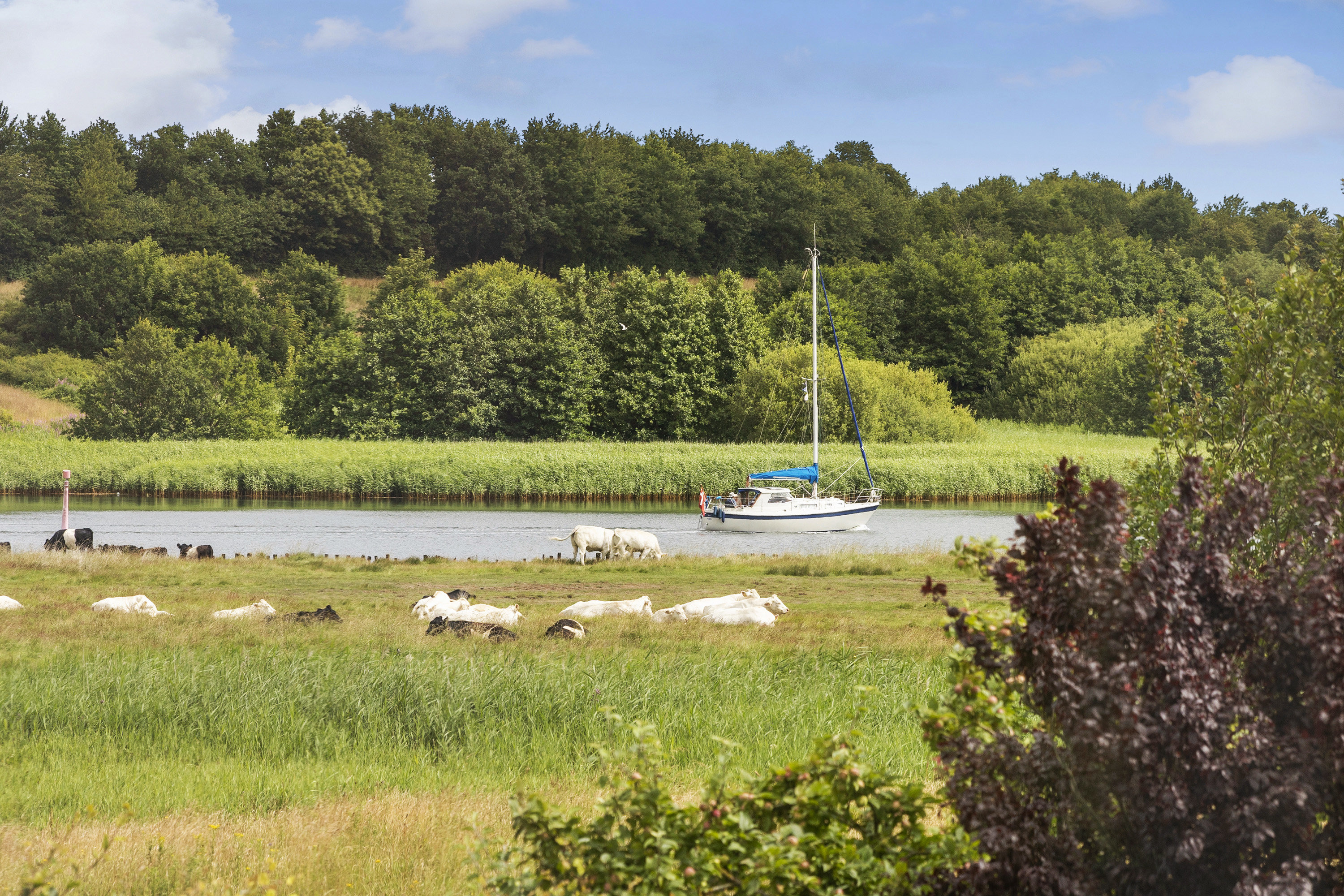 Fremhævet område billede i fuldskærmstilstand. Billede af Starup Engvej 6A, Starup, 6100 Haderslev