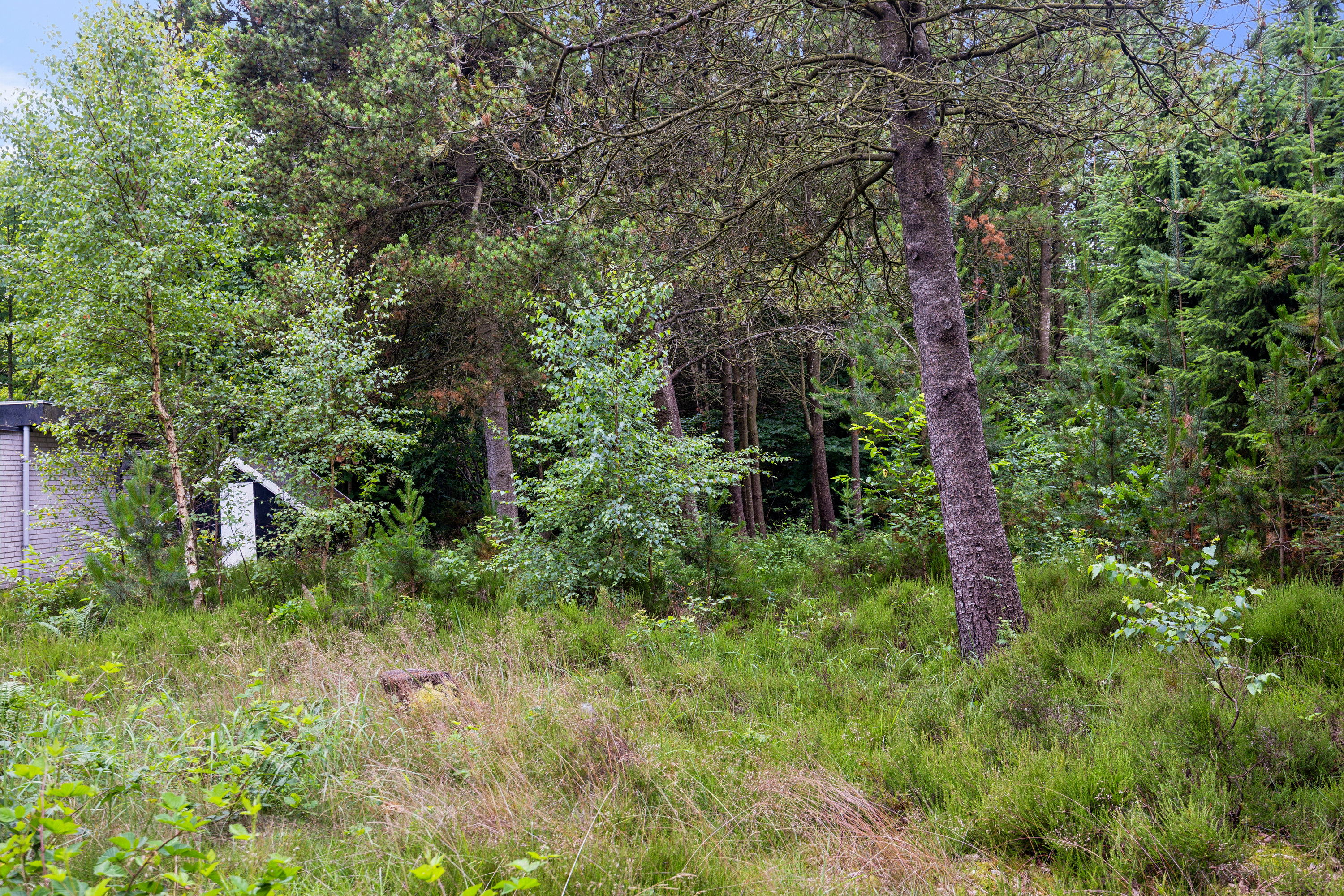 Fremhævet have billede i fuldskærmstilstand. Billede af Kongeparken 17, Koldkær, 9370 Hals