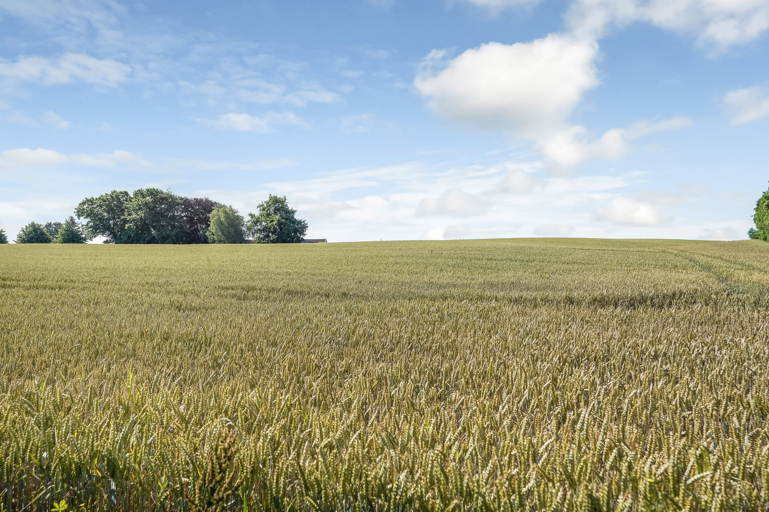 Fremhævet område billede i fuldskærmstilstand. Billede af Stærmosevej 106, Render, 5690 Tommerup