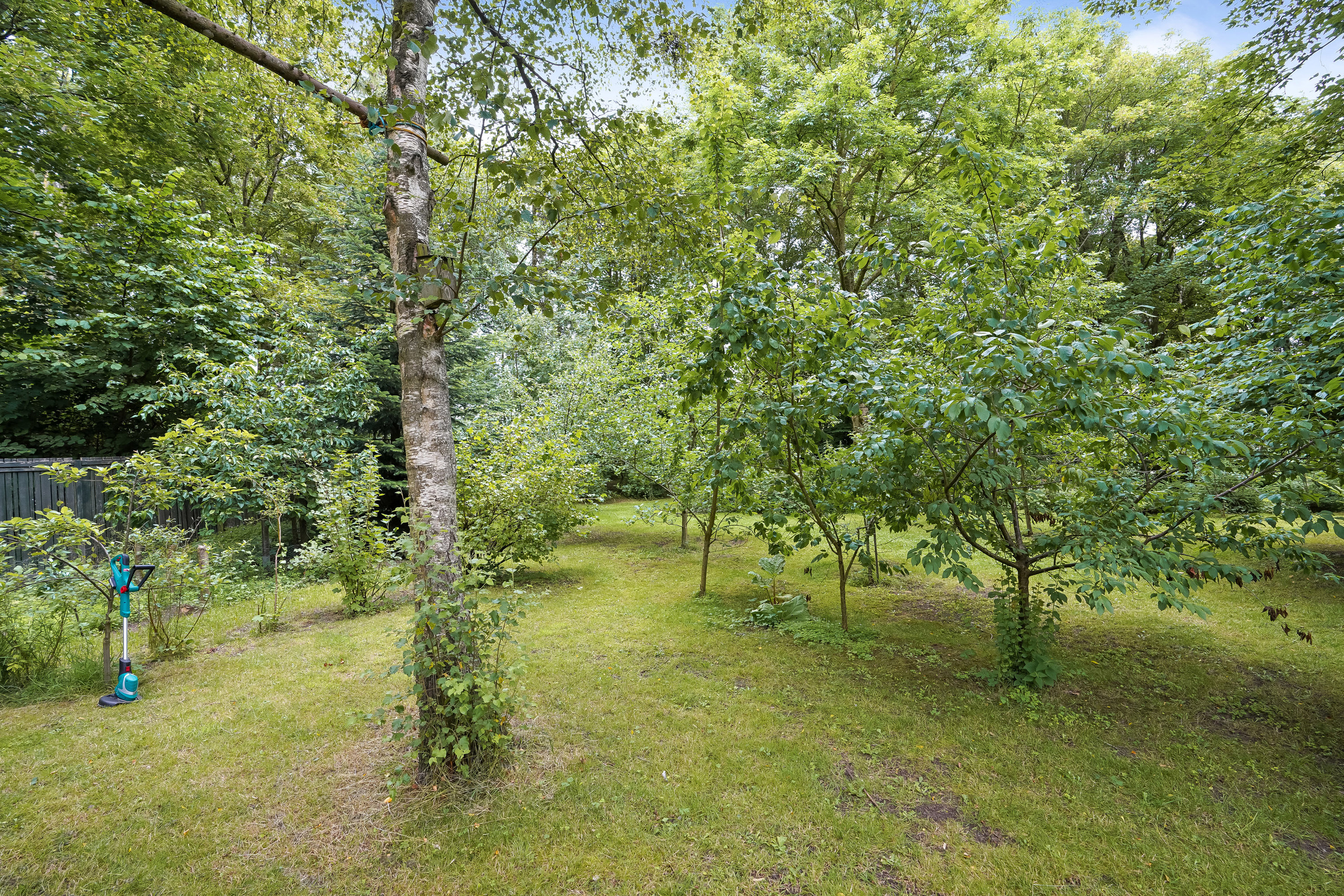 Fremhævet have billede i fuldskærmstilstand. Billede af Vejlevej 71, 7300 Jelling