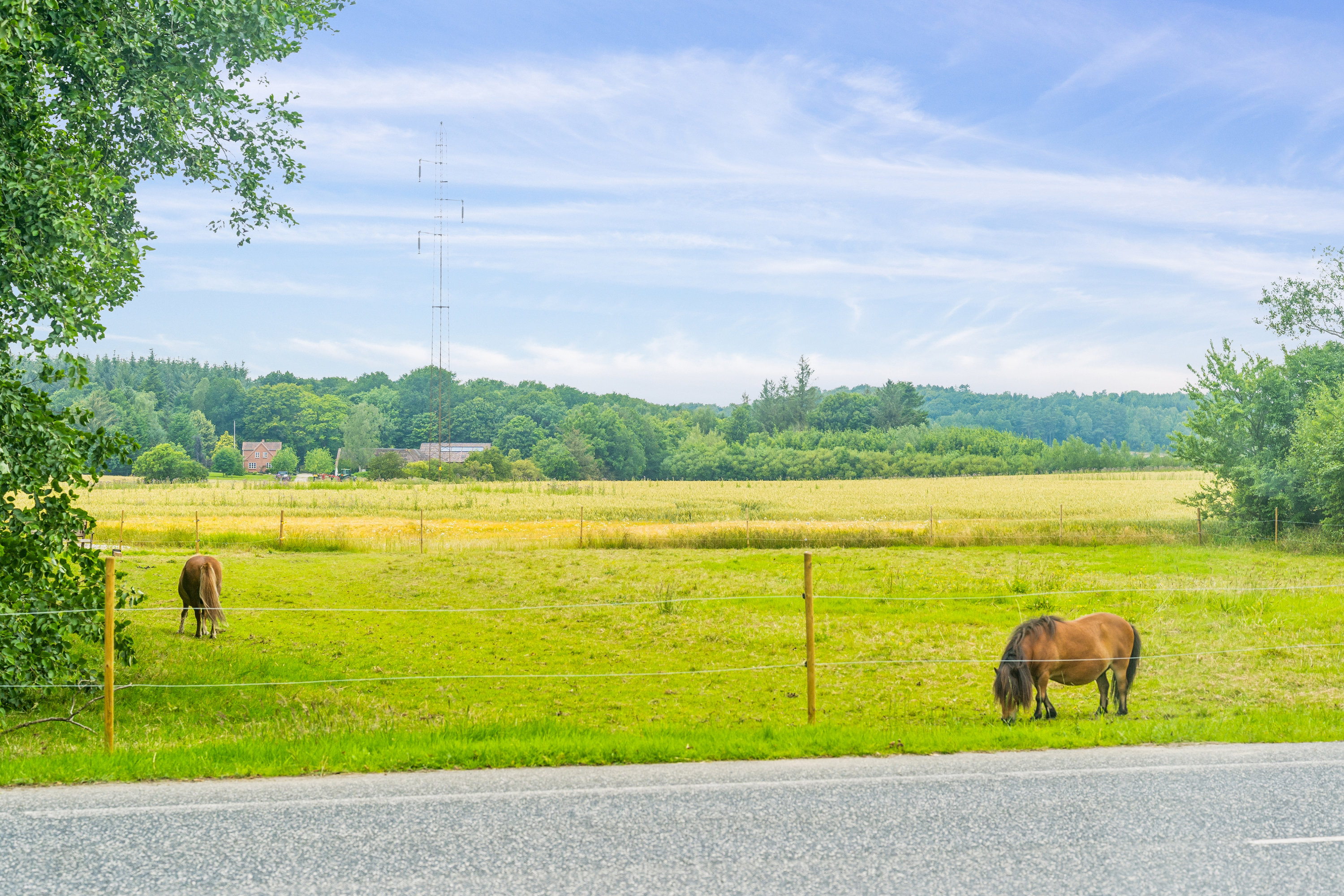 Fremhævet grund billede i fuldskærmstilstand. Billede af Vesterled 9, Hvorslev, 8860 Ulstrup