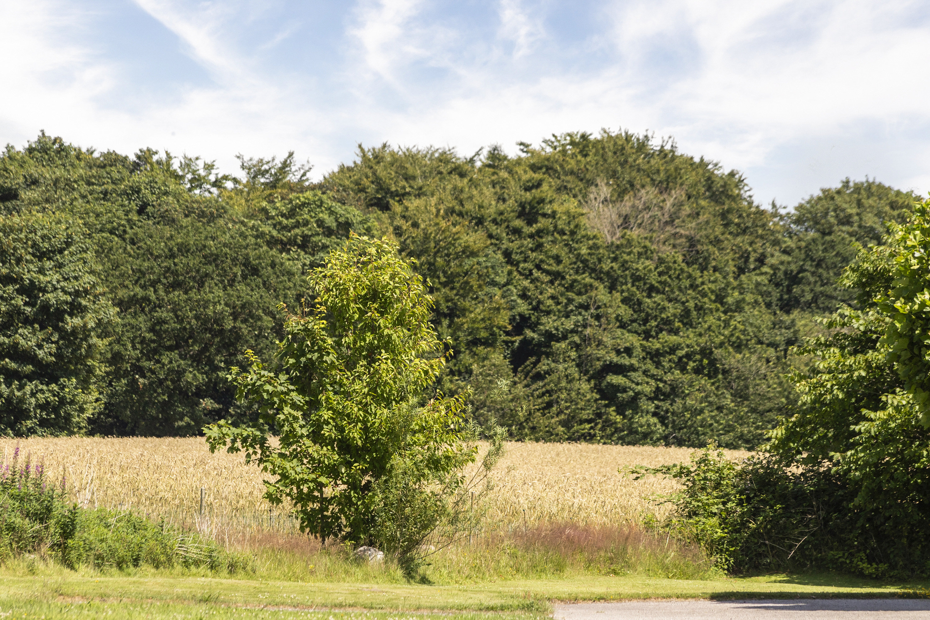 Fremhævet område billede i fuldskærmstilstand. Billede af Vigårdsvej 20, Læborg, 6600 Vejen