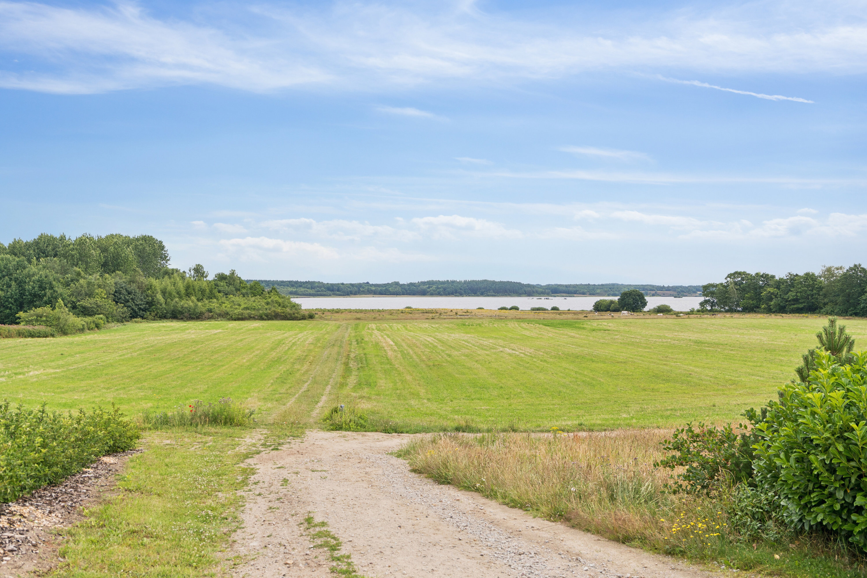 Miniaturebillede 1: udendørs. Billede af Kastanie Alle 117A, 7442 Engesvang
