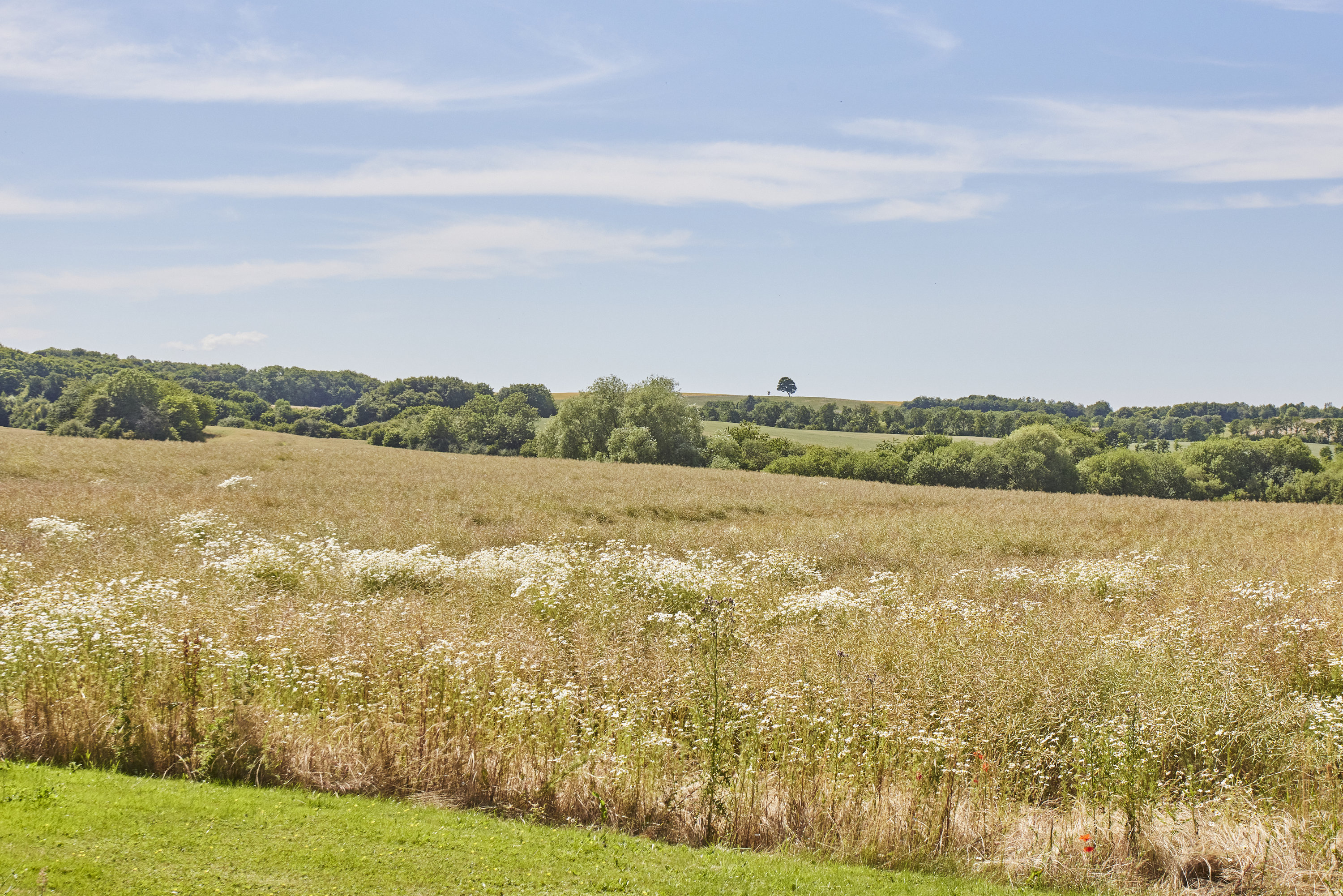 Fremhævet område billede i fuldskærmstilstand. Billede af Ustrupvej 17, Ustrup, 8660 Skanderborg
