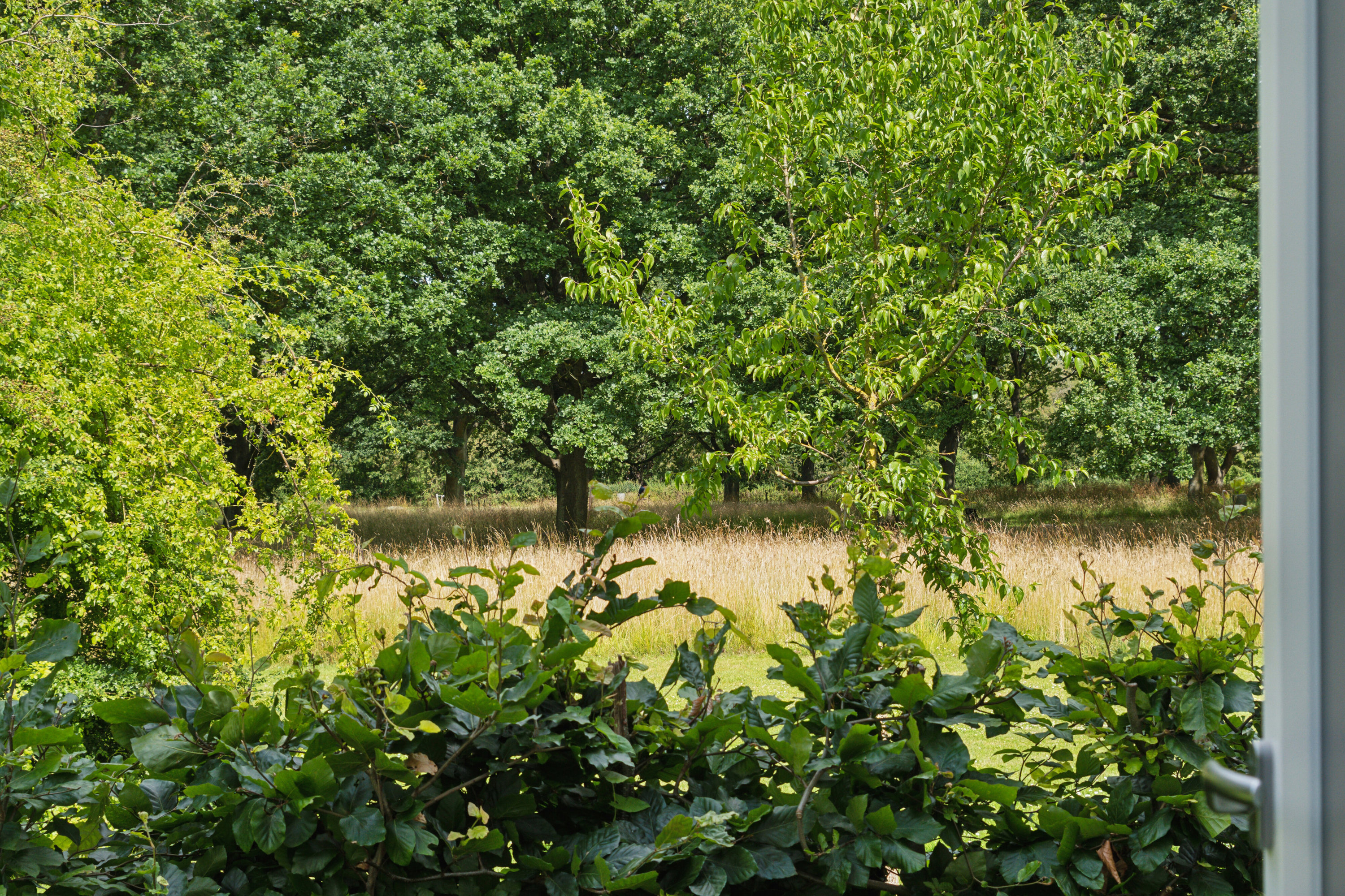 Fremhævet udsigt billede i fuldskærmstilstand. Billede af Stadionvej 94, st.. 2., 2600 Glostrup
