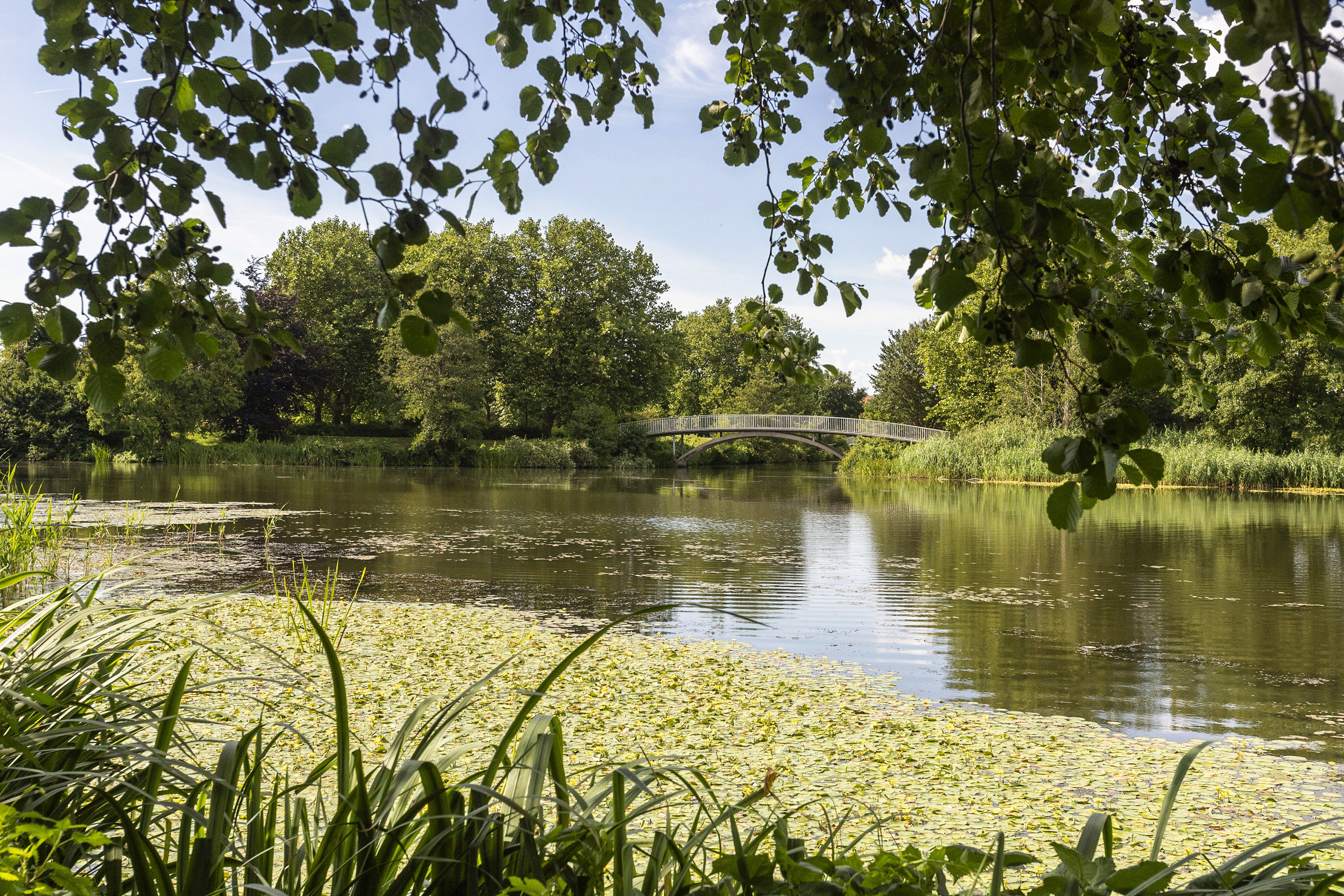Fremhævet område billede i fuldskærmstilstand. Billede af Ny Erlevvej 22, 6100 Haderslev
