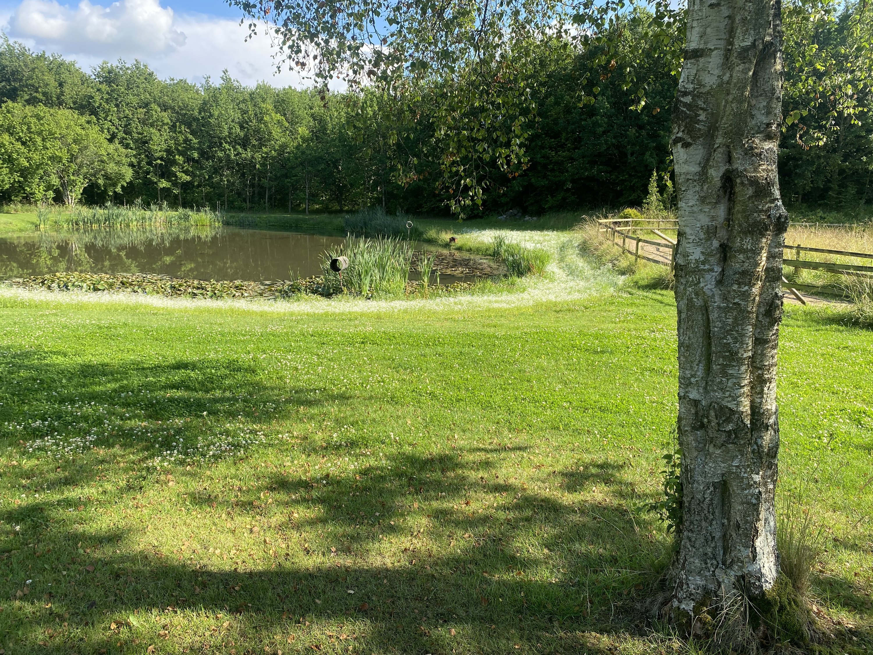 Fremhævet  billede i fuldskærmstilstand. Billede af Ny Sebberupvej 17, 8723 Løsning