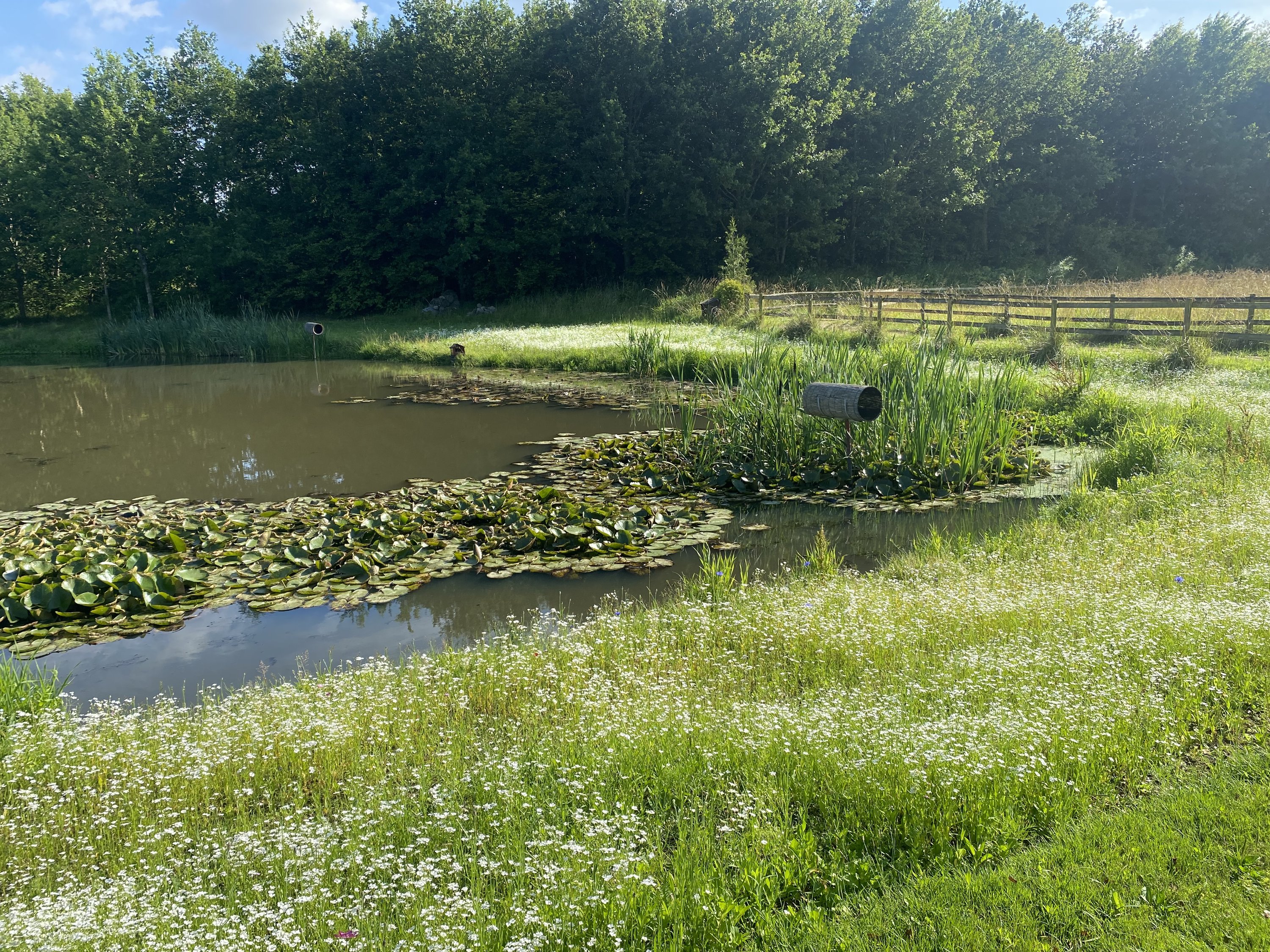 Miniaturebillede 1: . Billede af Ny Sebberupvej 17, 8723 Løsning