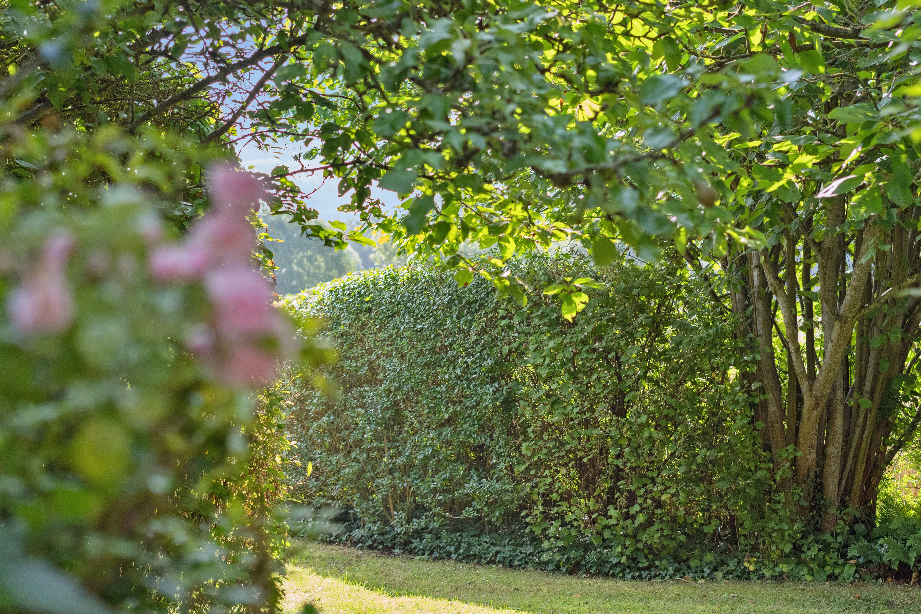 Fremhævet udendørs billede i fuldskærmstilstand. Billede af Strøbyvej 35, Østrup, 5450 Otterup