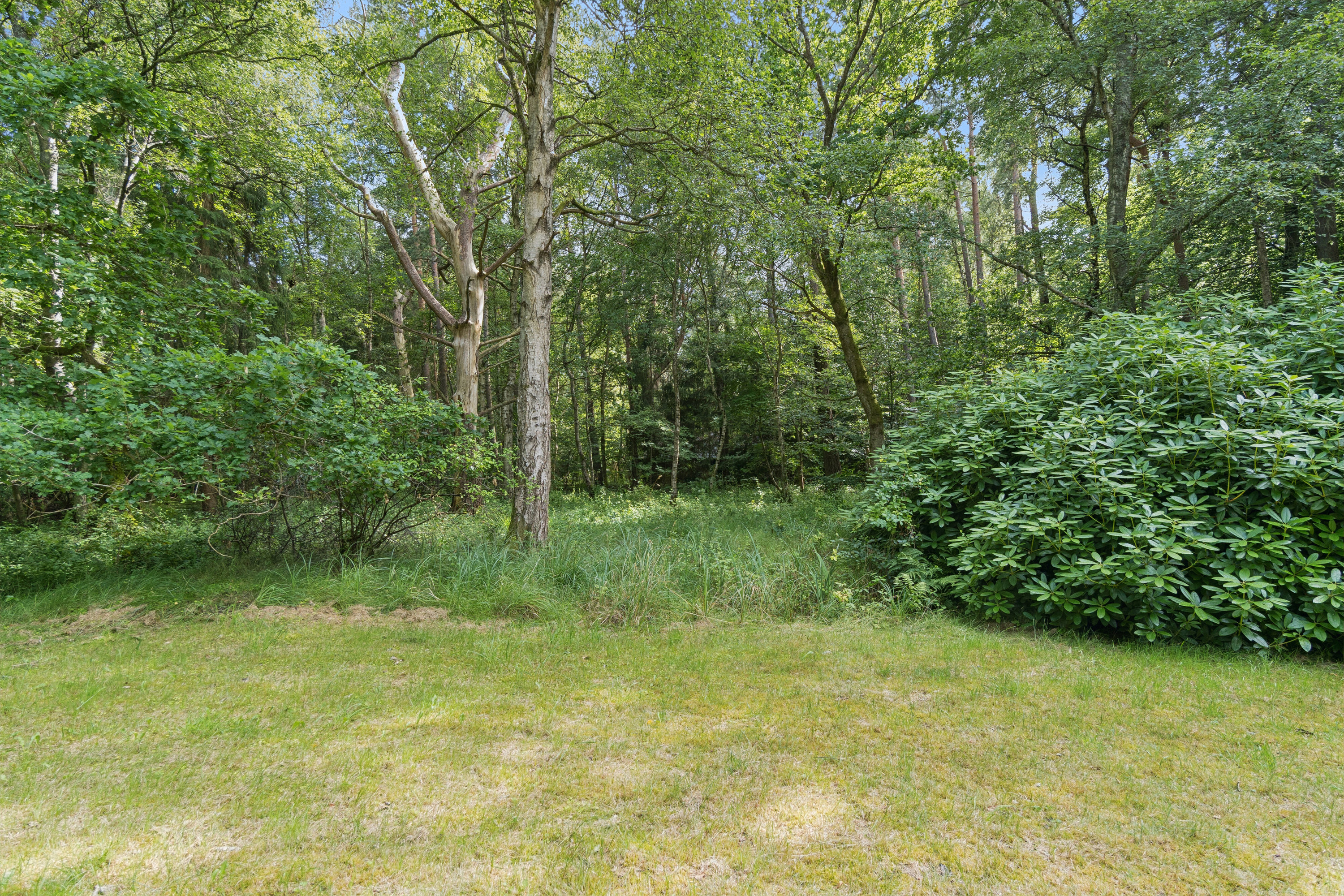 Fremhævet have billede i fuldskærmstilstand. Billede af Ranunkelstien 3, Sandet, 3300 Frederiksværk