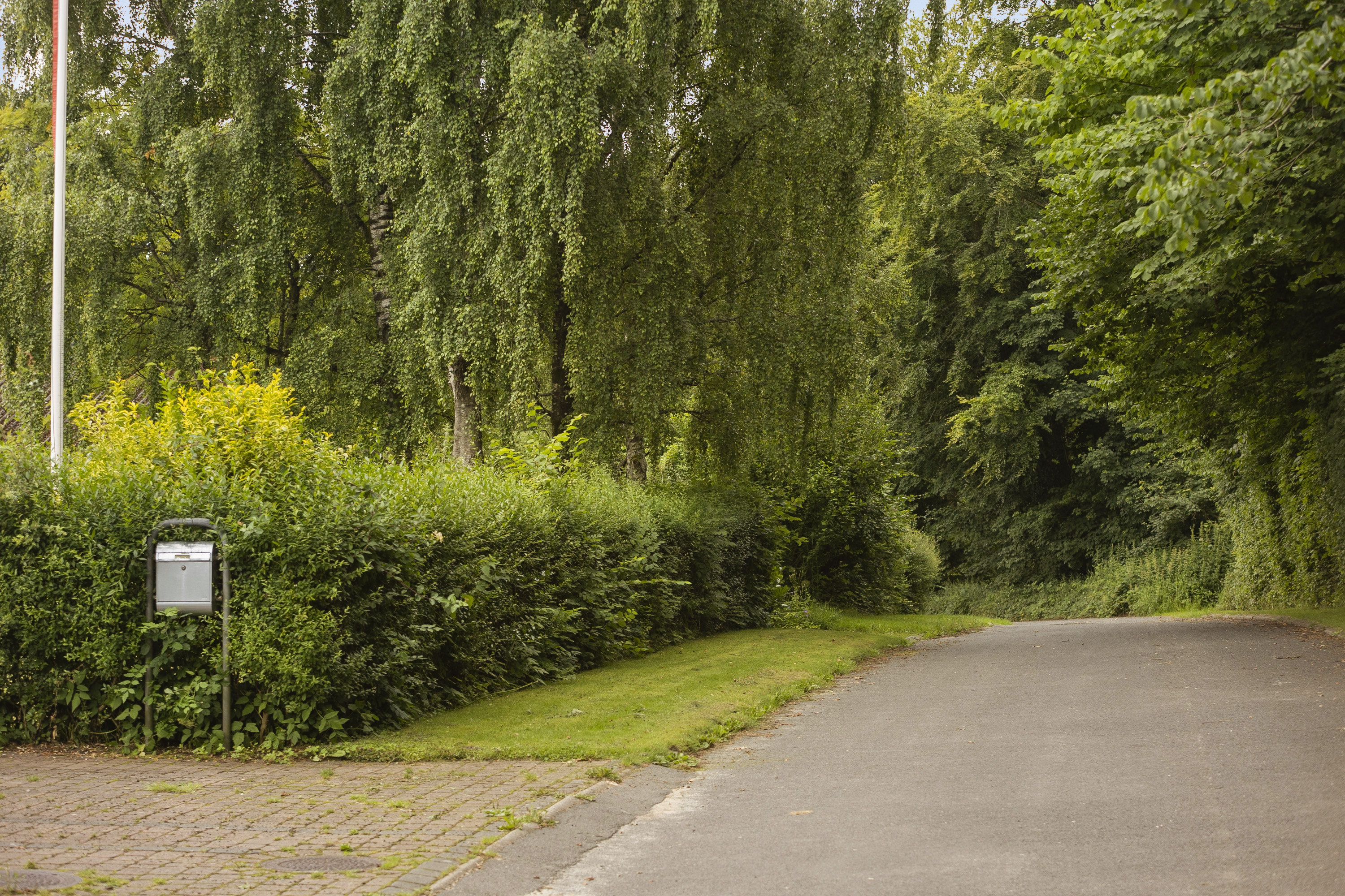 Fremhævet område billede i fuldskærmstilstand. Billede af Dyssevej 7, Hostrupskov, 6200 Aabenraa