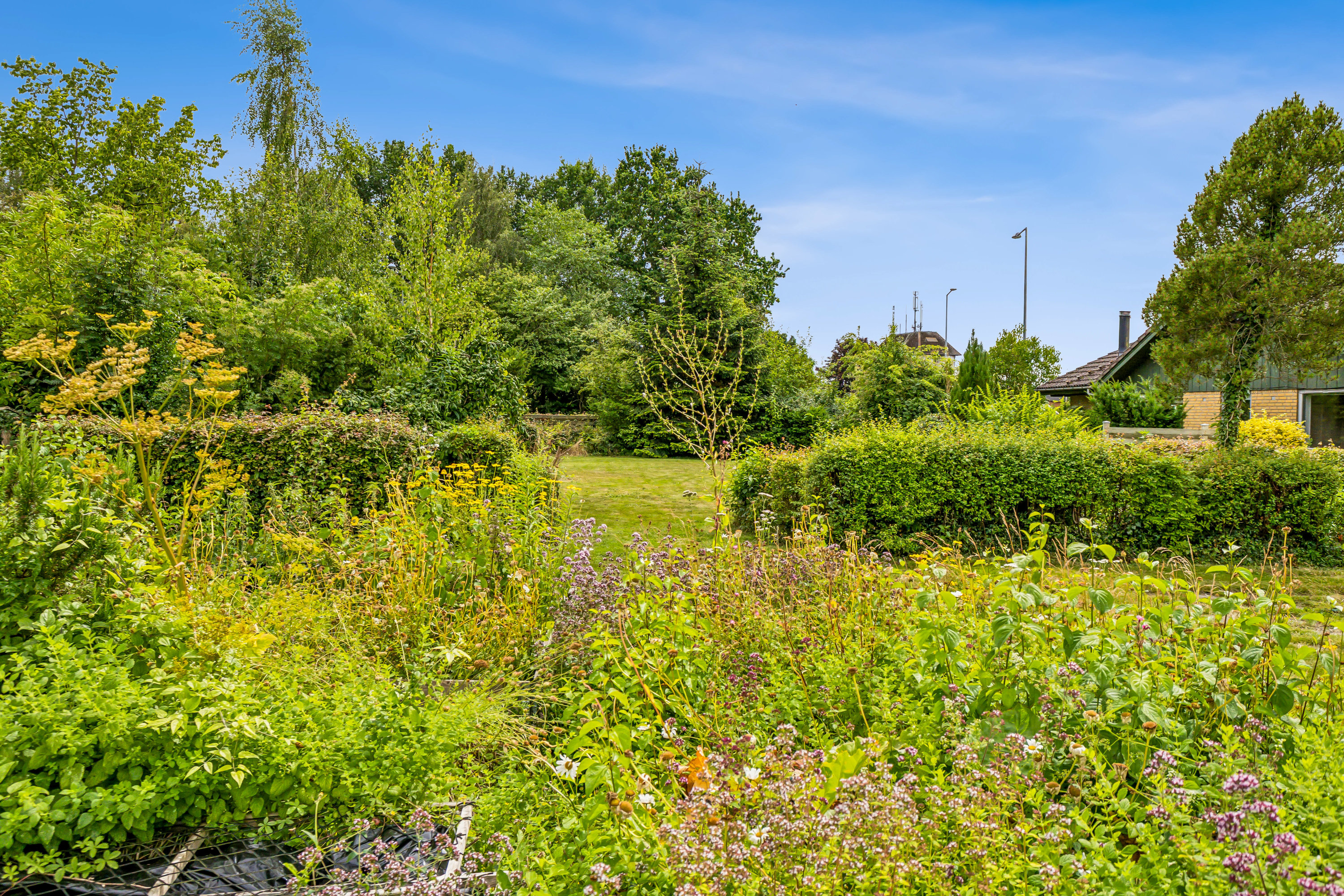 Fremhævet have billede i fuldskærmstilstand. Billede af Løjtertoft 23, 6430 Nordborg