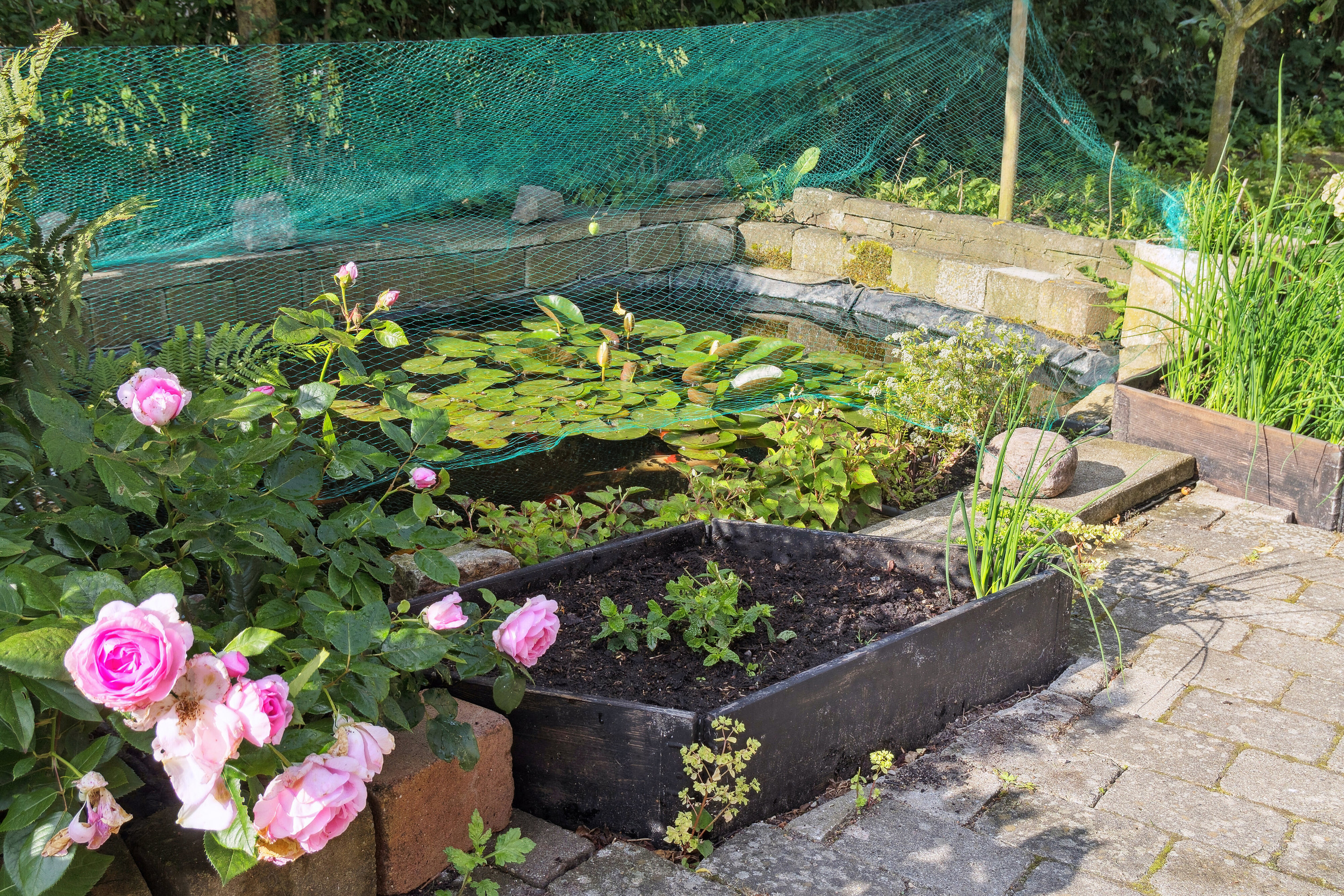 Fremhævet udendørs billede i fuldskærmstilstand. Billede af Sorø Landevej 226, Eggeslevmagle, 4230 Skælskør