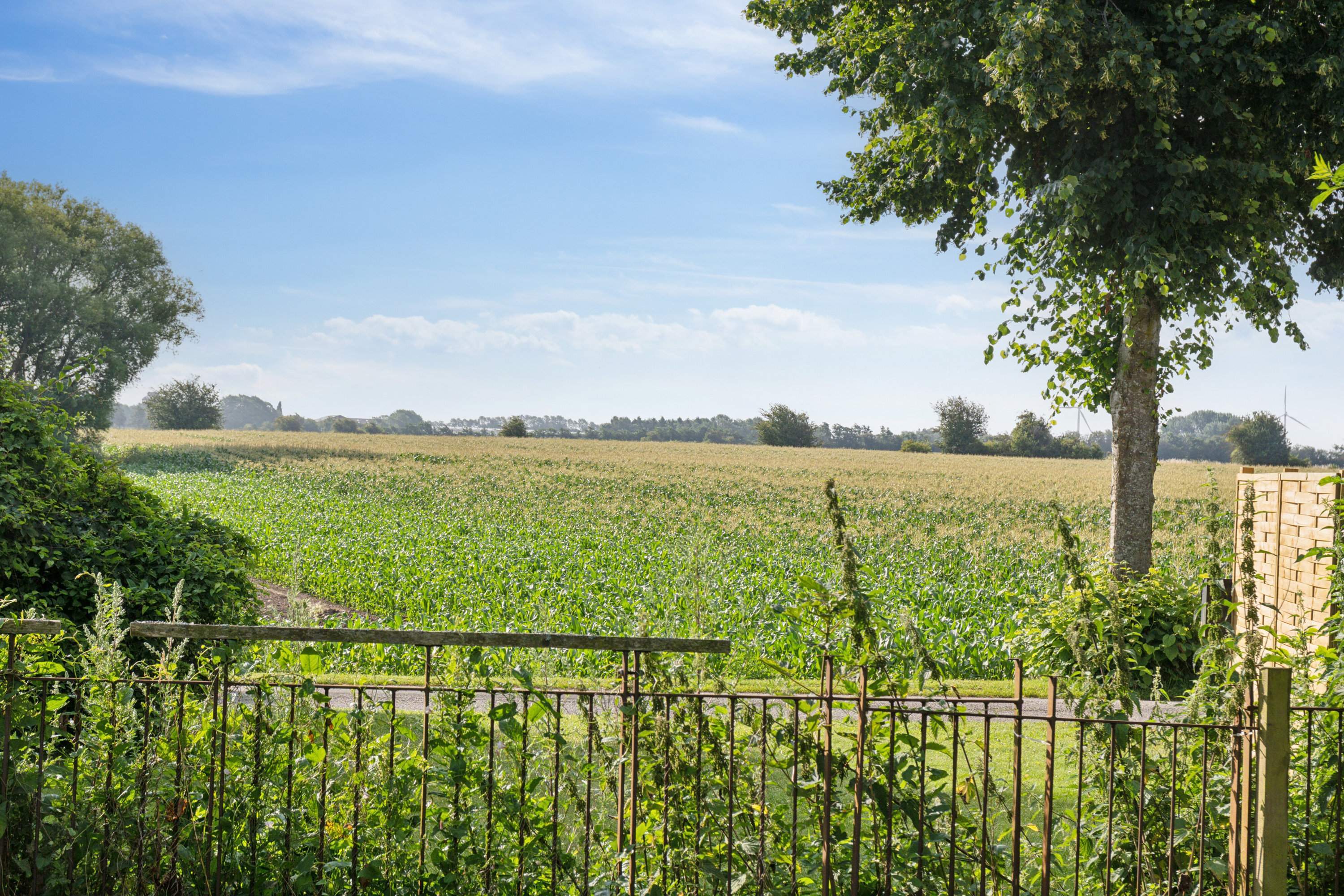 Fremhævet udendørs billede i fuldskærmstilstand. Billede af Sorø Landevej 226, Eggeslevmagle, 4230 Skælskør