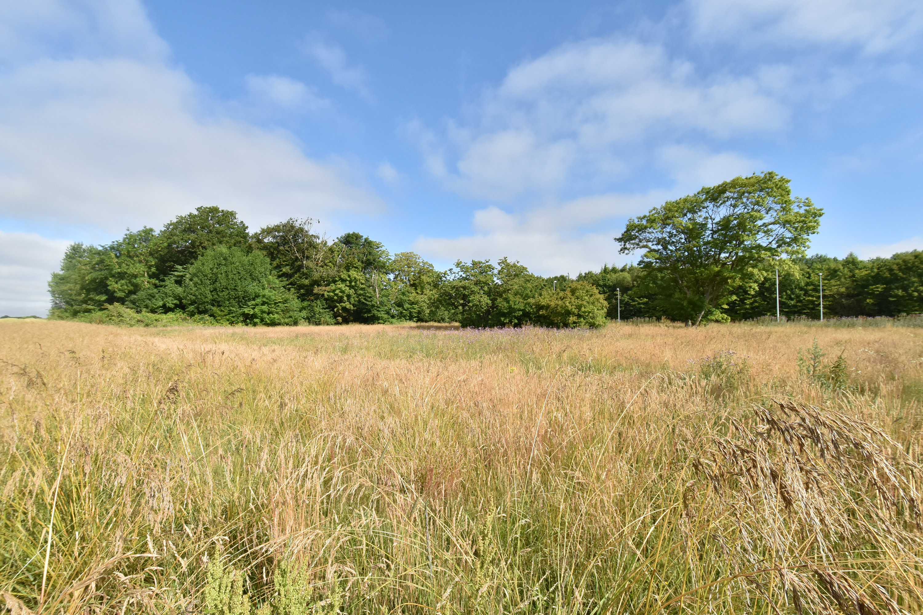 Fremhævet grund billede i fuldskærmstilstand. Billede af Løvbakkevej 19B, Gullestrup, 7400 Herning