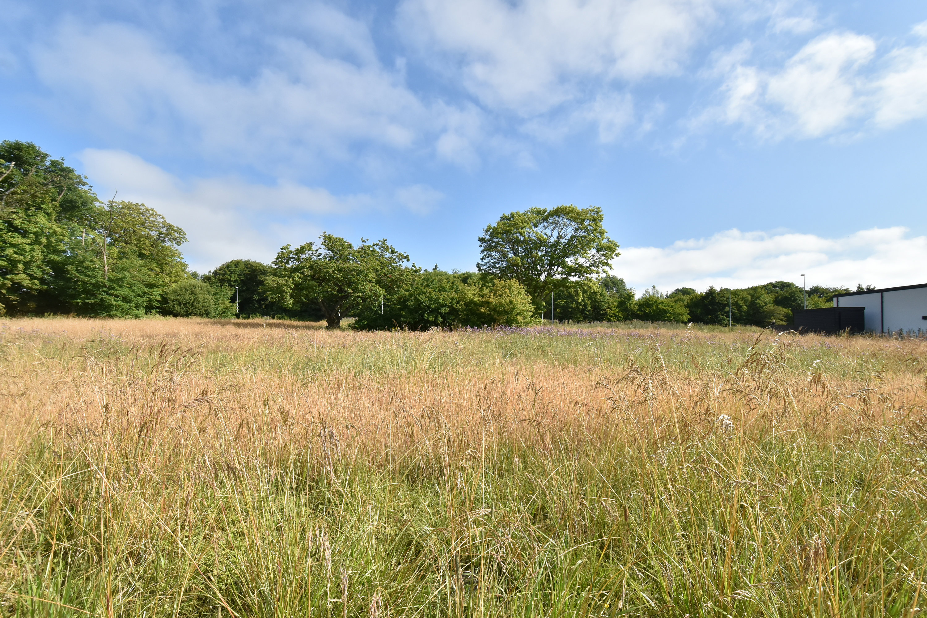 Fremhævet grund billede i fuldskærmstilstand. Billede af Løvbakkevej 19B, Gullestrup, 7400 Herning