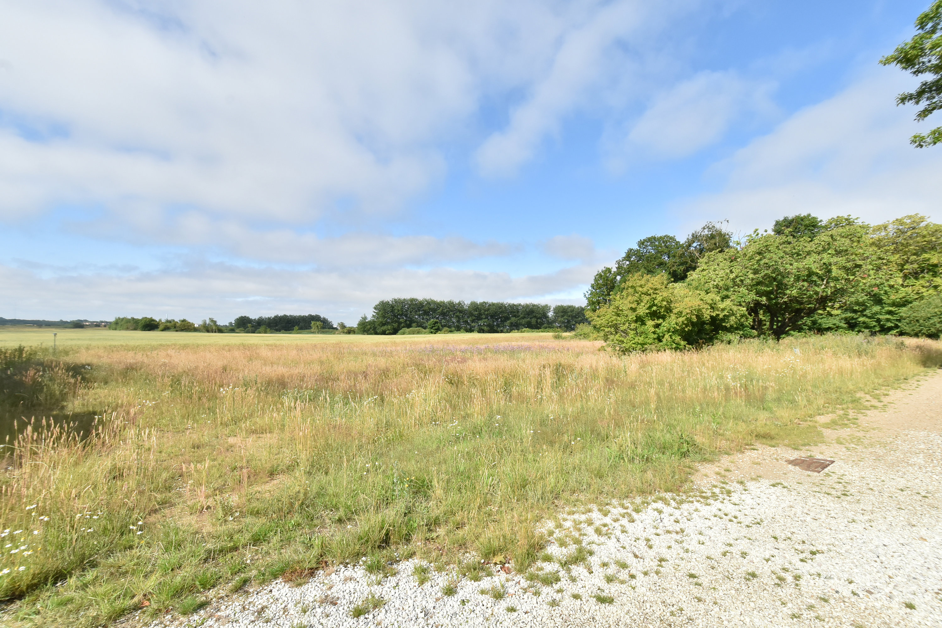 Miniaturebillede 1: grund. Billede af Løvbakkevej 19B, Gullestrup, 7400 Herning