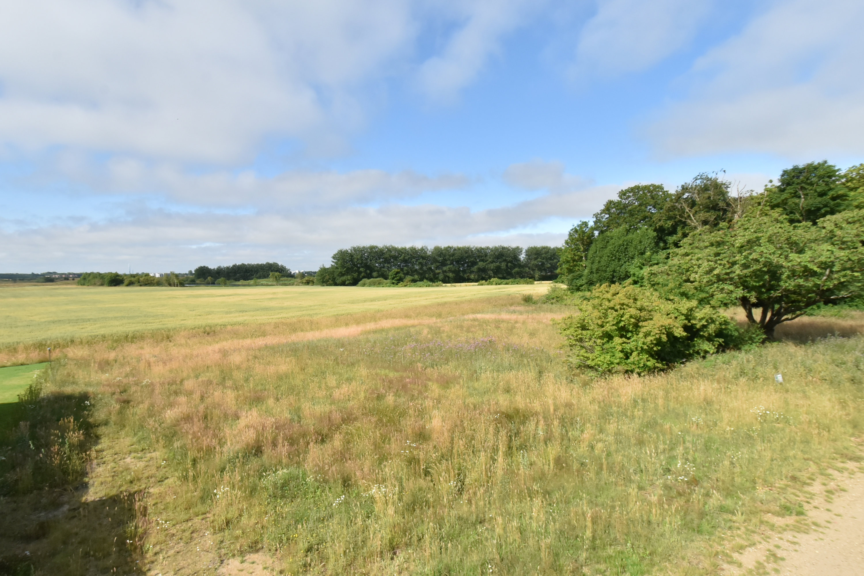Miniaturebillede 2: grund. Billede af Løvbakkevej 19B, Gullestrup, 7400 Herning