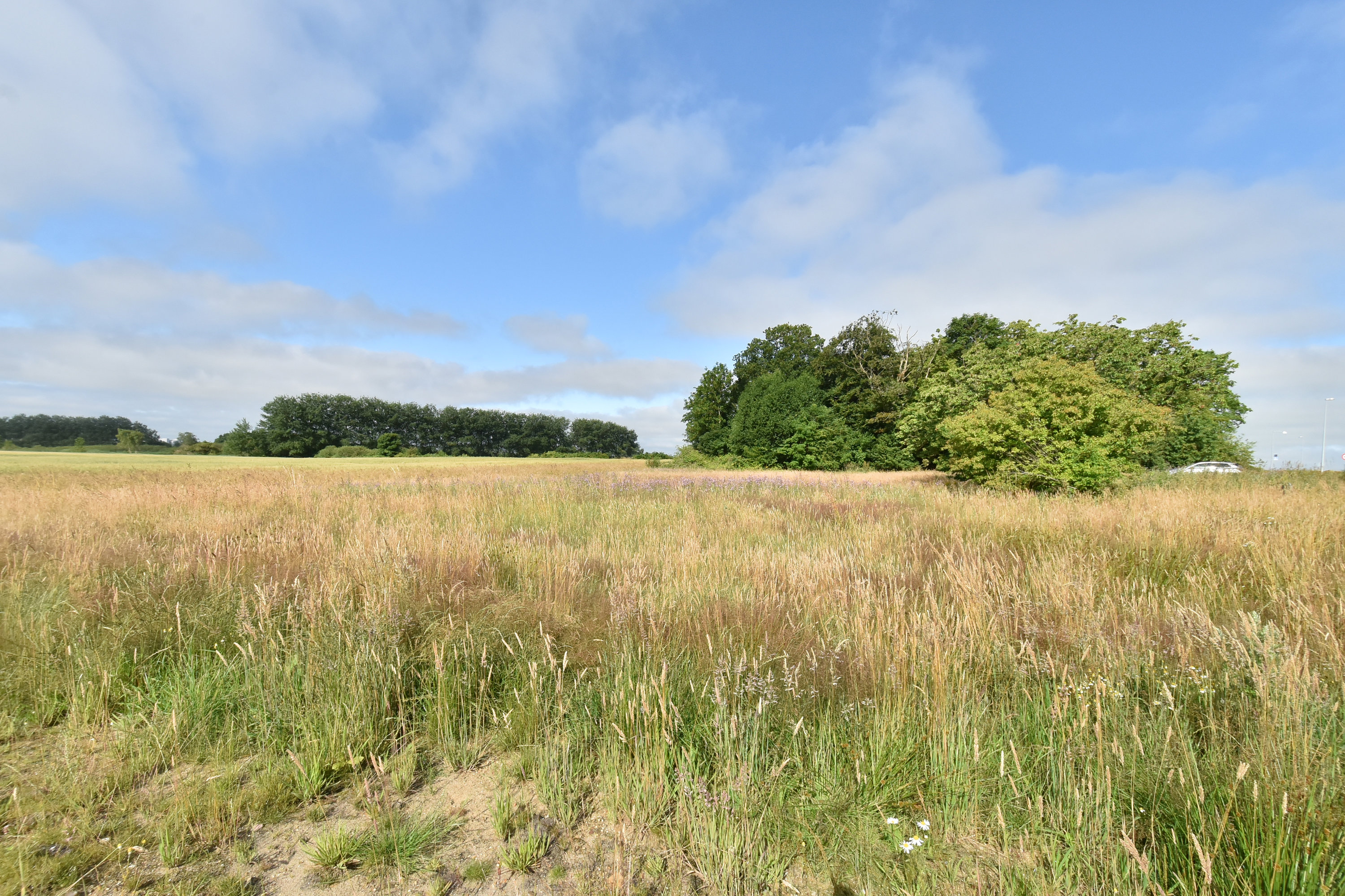Fremhævet grund billede i fuldskærmstilstand. Billede af Løvbakkevej 19B, Gullestrup, 7400 Herning