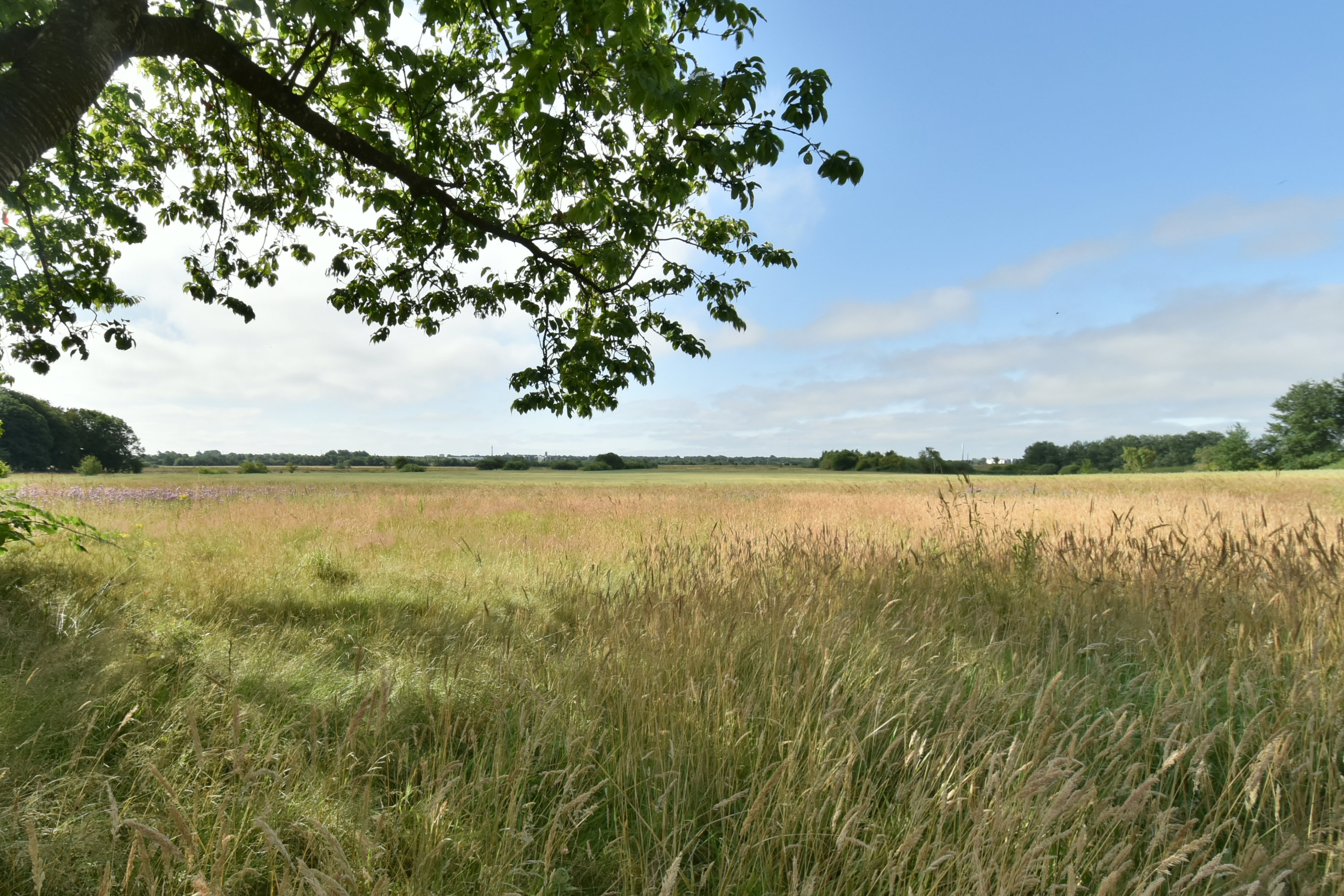 Fremhævet grund billede i fuldskærmstilstand. Billede af Løvbakkevej 19B, Gullestrup, 7400 Herning