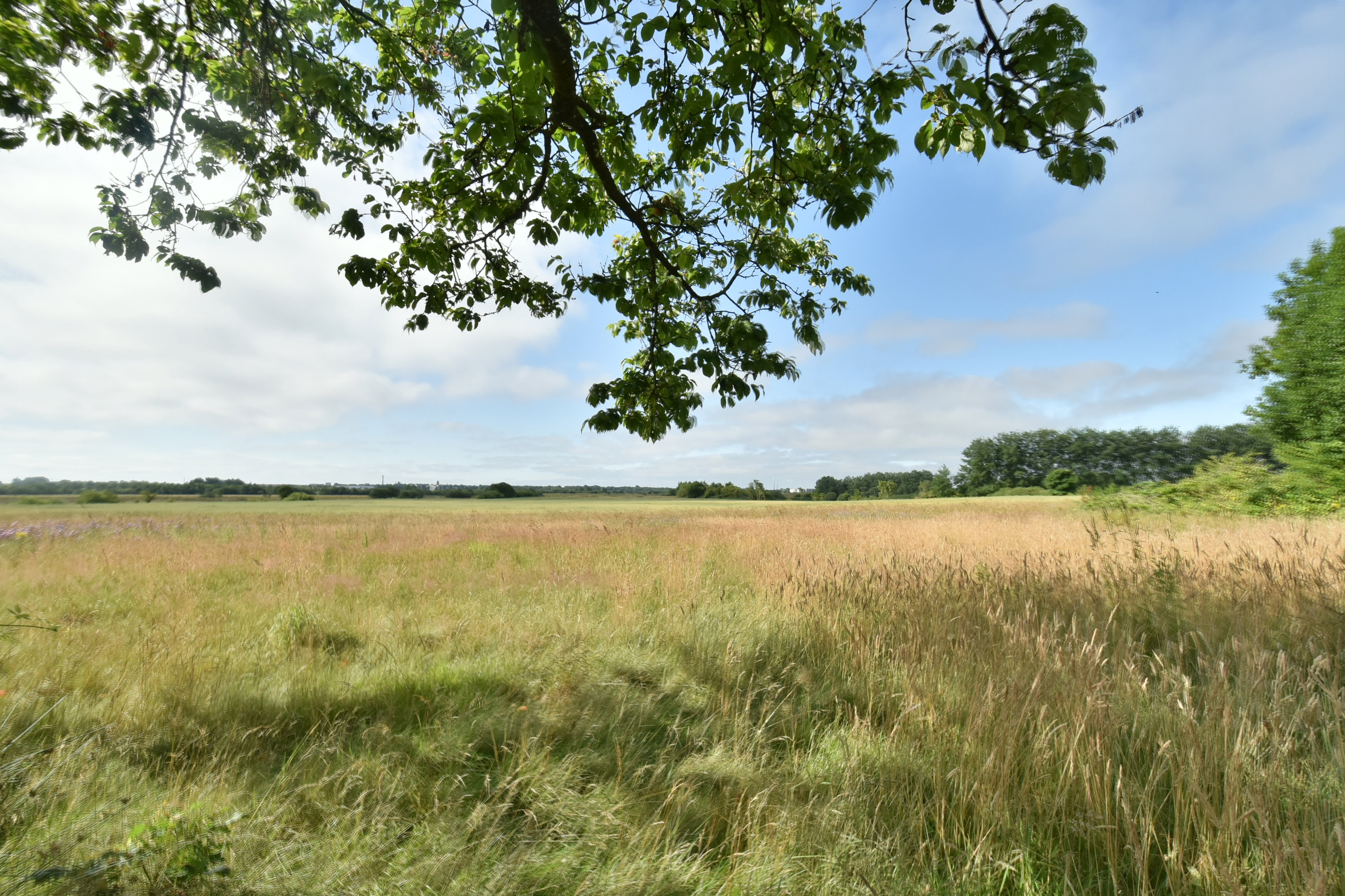 Fremhævet grund billede i fuldskærmstilstand. Billede af Løvbakkevej 19B, Gullestrup, 7400 Herning