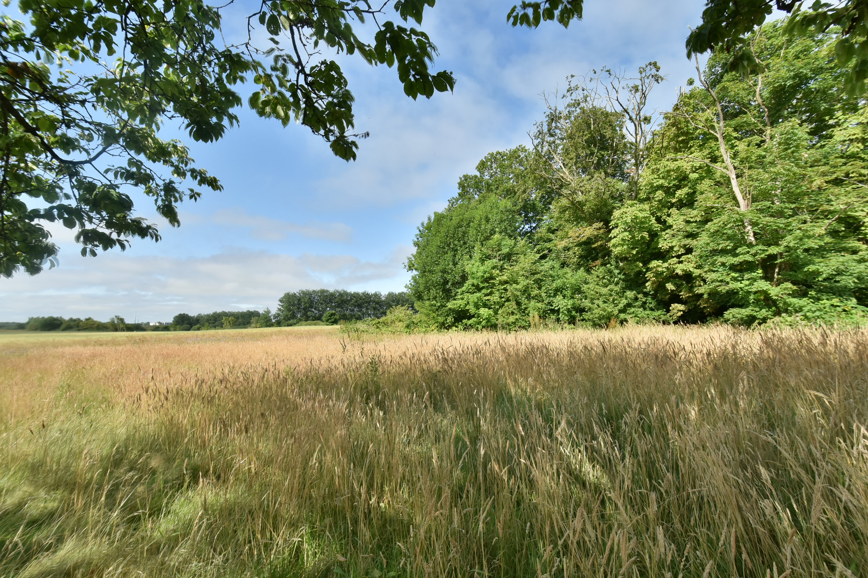 Fremhævet grund billede i fuldskærmstilstand. Billede af Løvbakkevej 19B, Gullestrup, 7400 Herning
