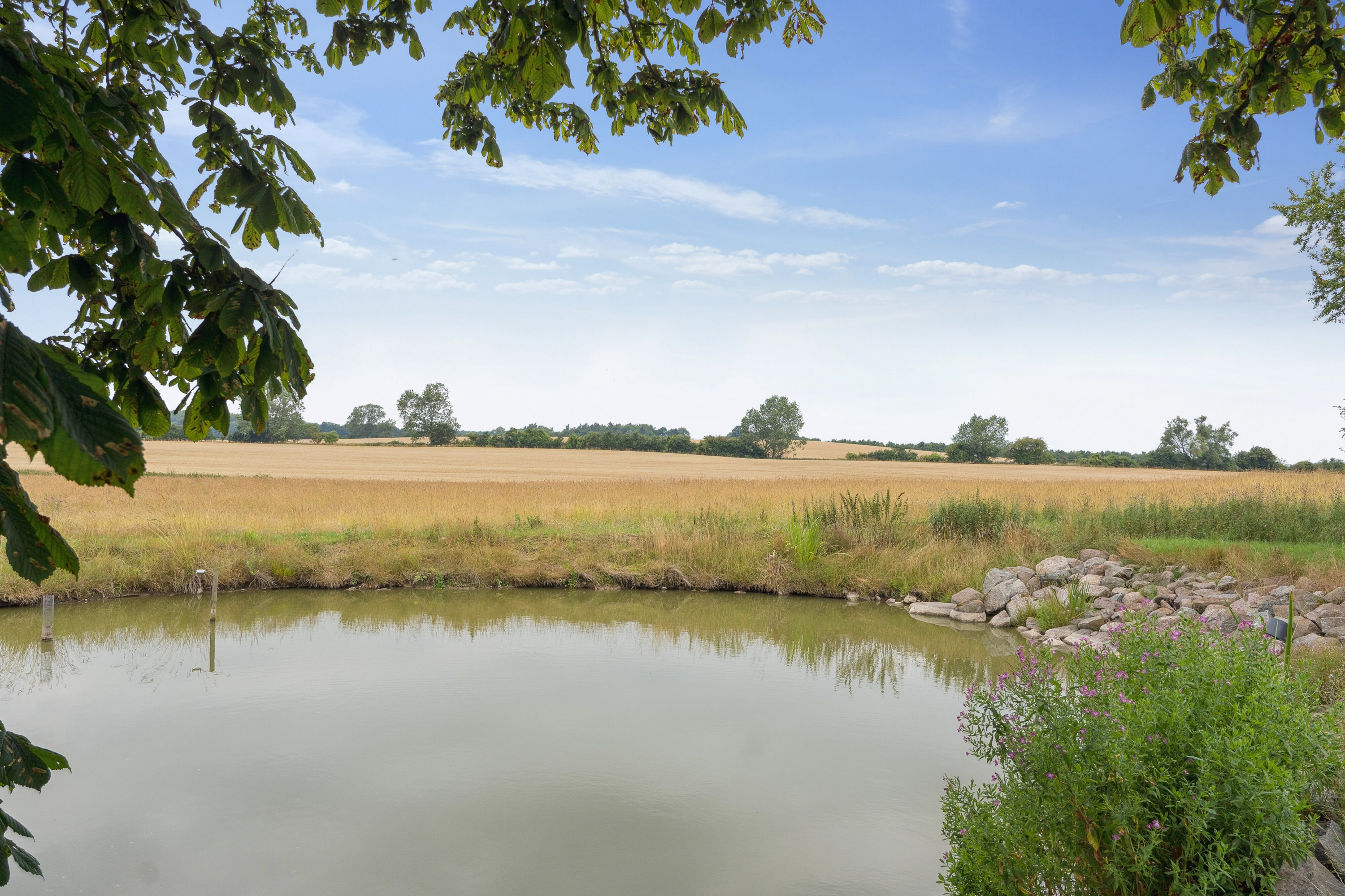 Fremhævet omgivelser billede i fuldskærmstilstand. Billede af Smidstrupvej 55, 4720 Præstø