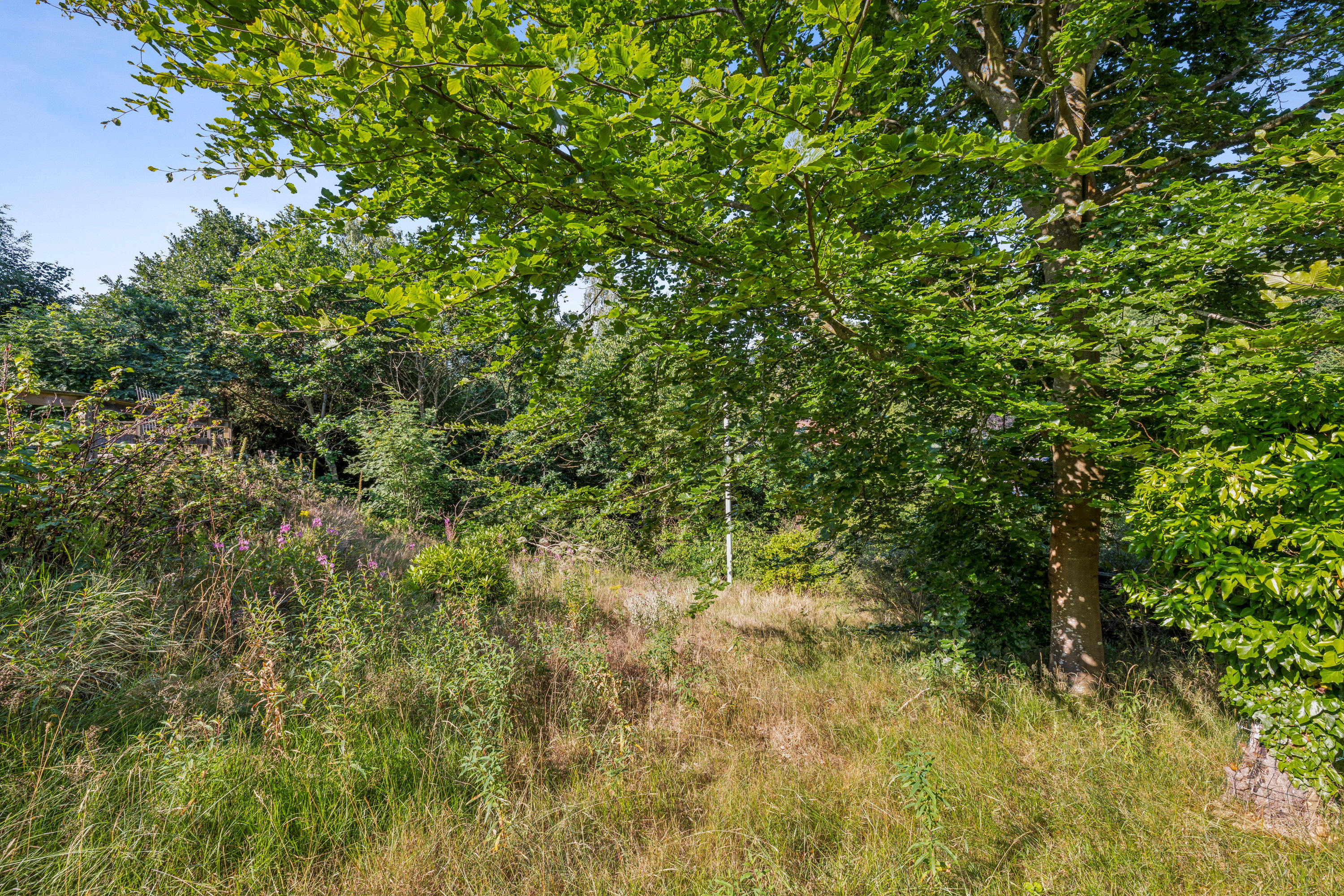 Fremhævet have billede i fuldskærmstilstand. Billede af Gærdesmuttevej 7, Skelhøje Plantage , 8400 Ebeltoft