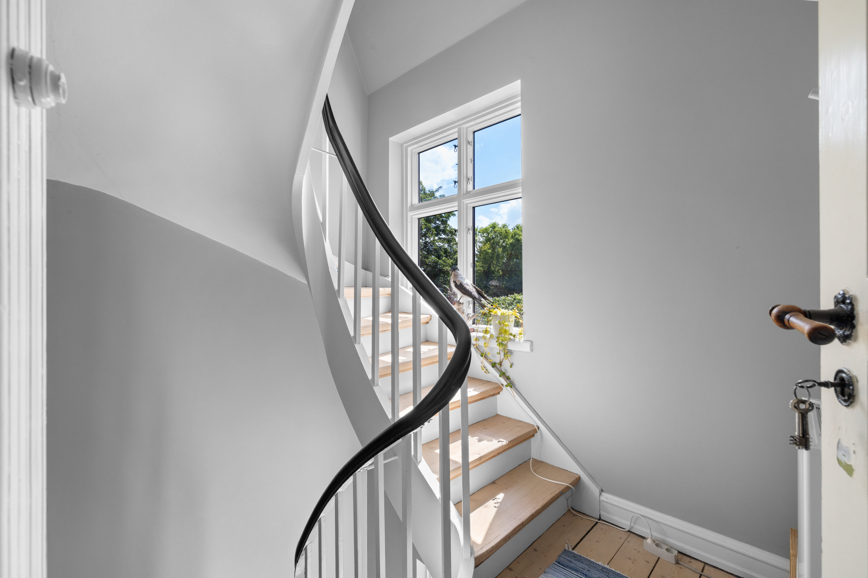 Fremhævet andet billede i fuldskærmstilstand. Billede af Holsten Carisiusgade 12, 5600 Faaborg