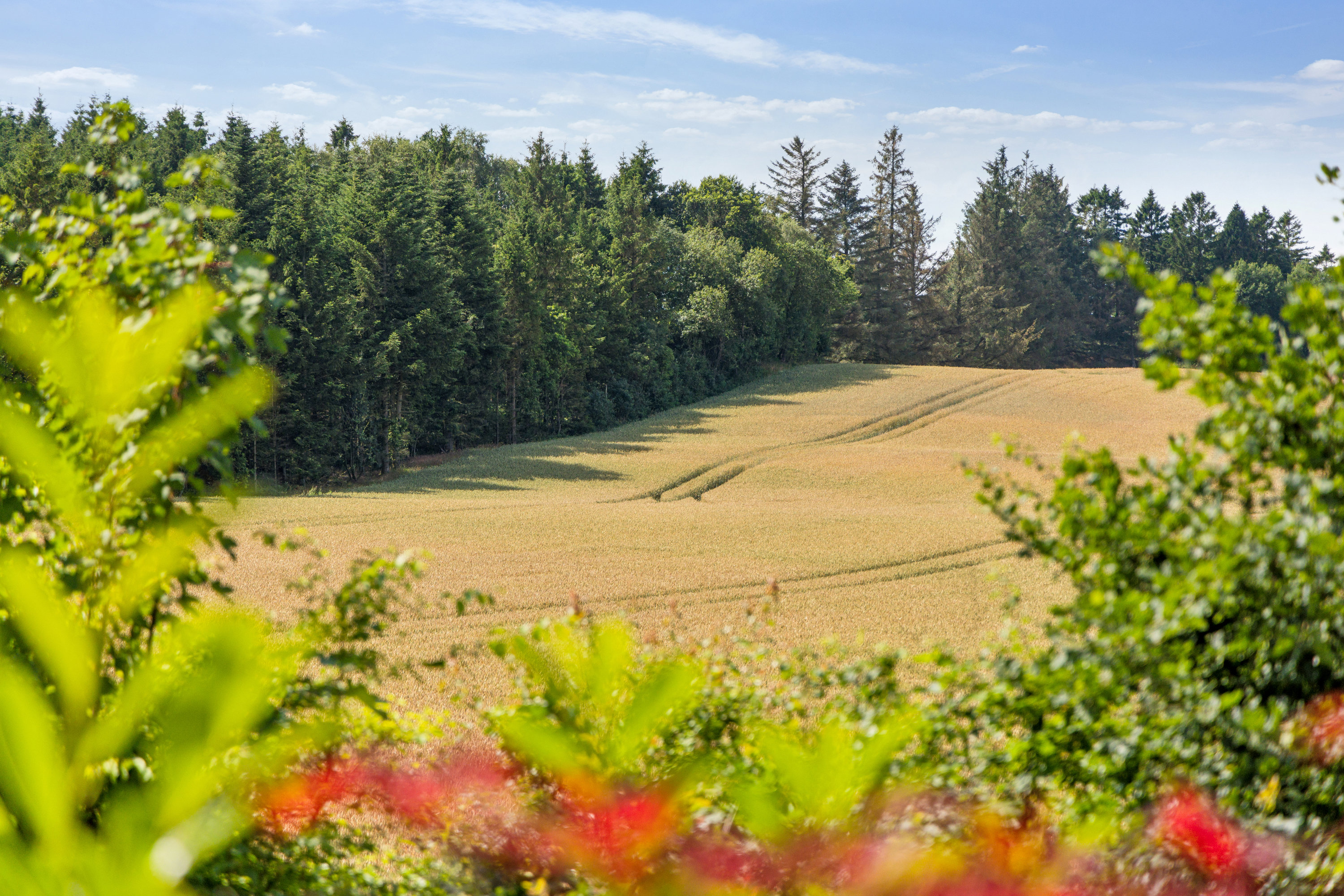 Fremhævet omgivelser billede i fuldskærmstilstand. Billede af Troldemosevej 78, Korsø, 9620 Aalestrup