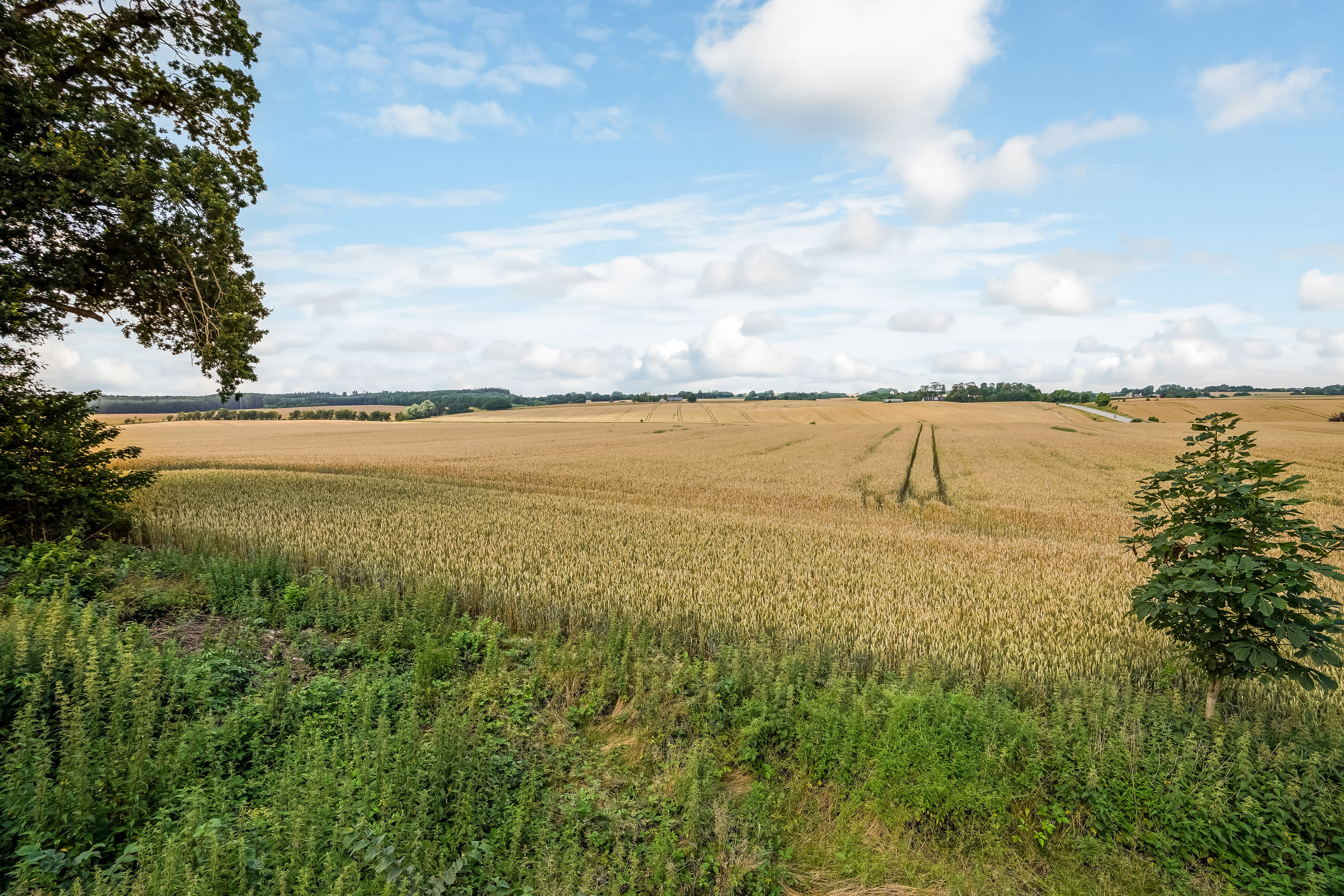Miniaturebillede 2: område. Billede af Hårupvej 38, Hårup, 8740 Brædstrup