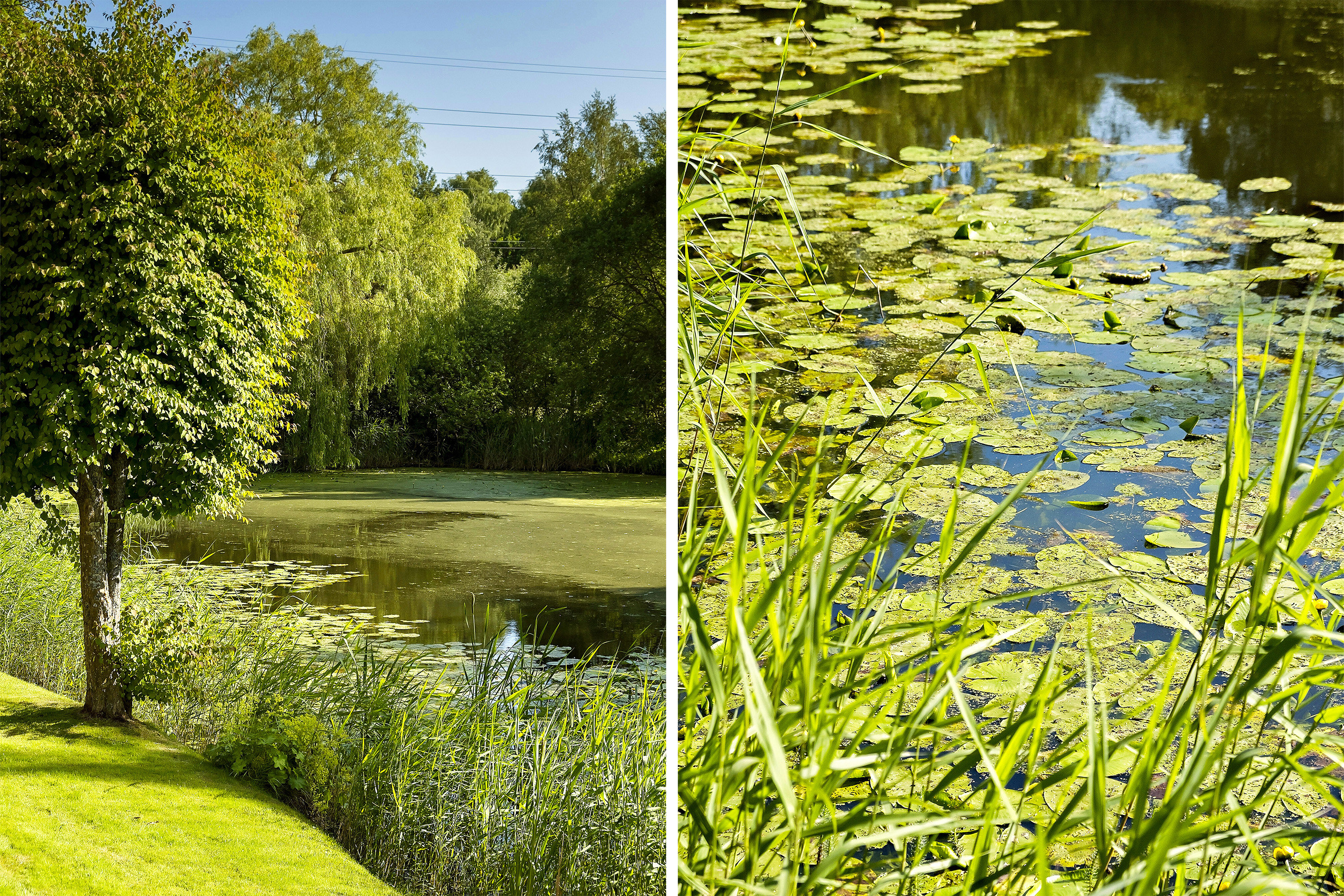 Fremhævet område billede i fuldskærmstilstand. Billede af Granhegnet 9, 3450 Allerød