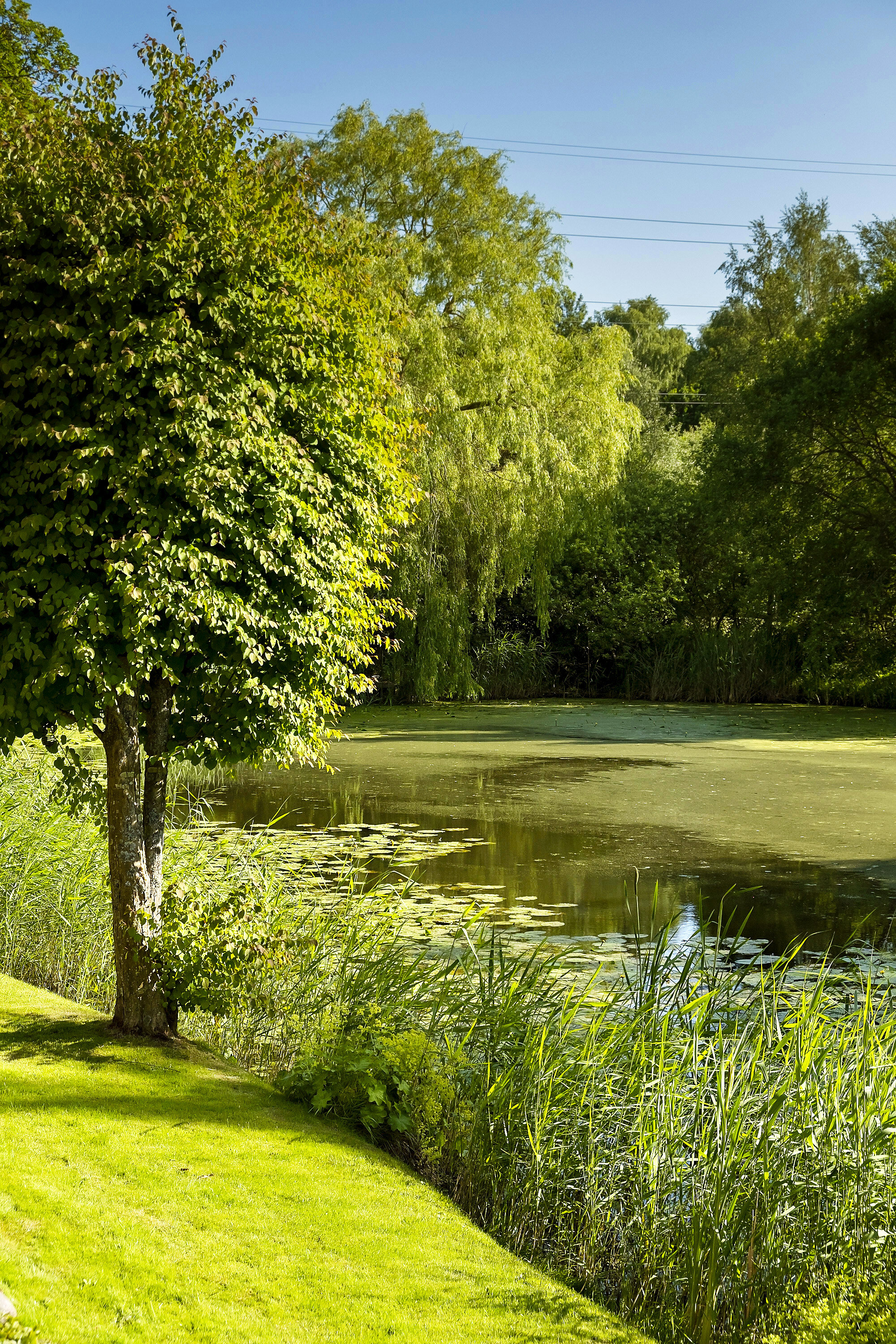Fremhævet område billede i fuldskærmstilstand. Billede af Granhegnet 9, 3450 Allerød