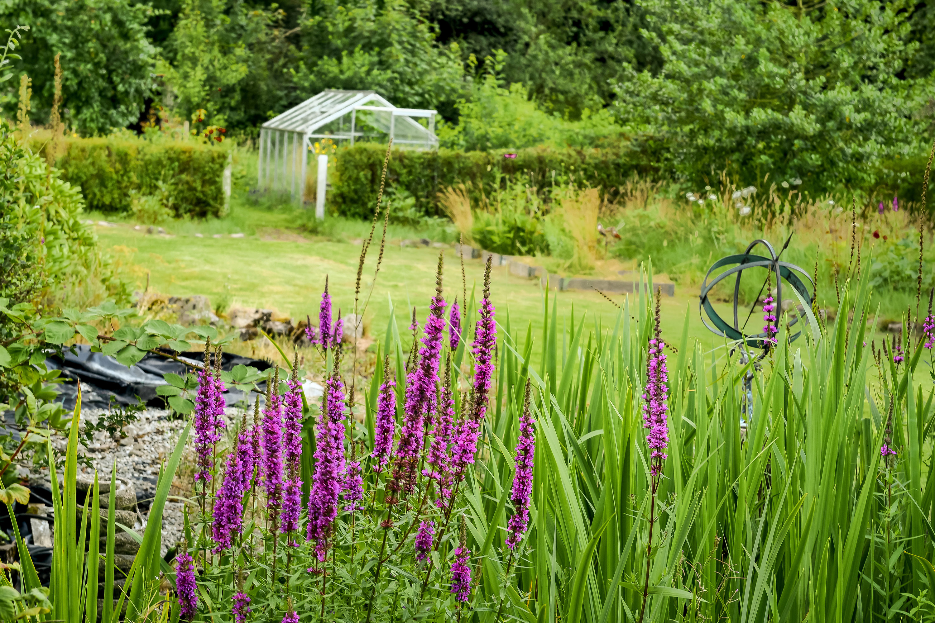 Miniaturebillede 1: have. Billede af Nørrevej 12, Stend-Krogag, 7200 Grindsted