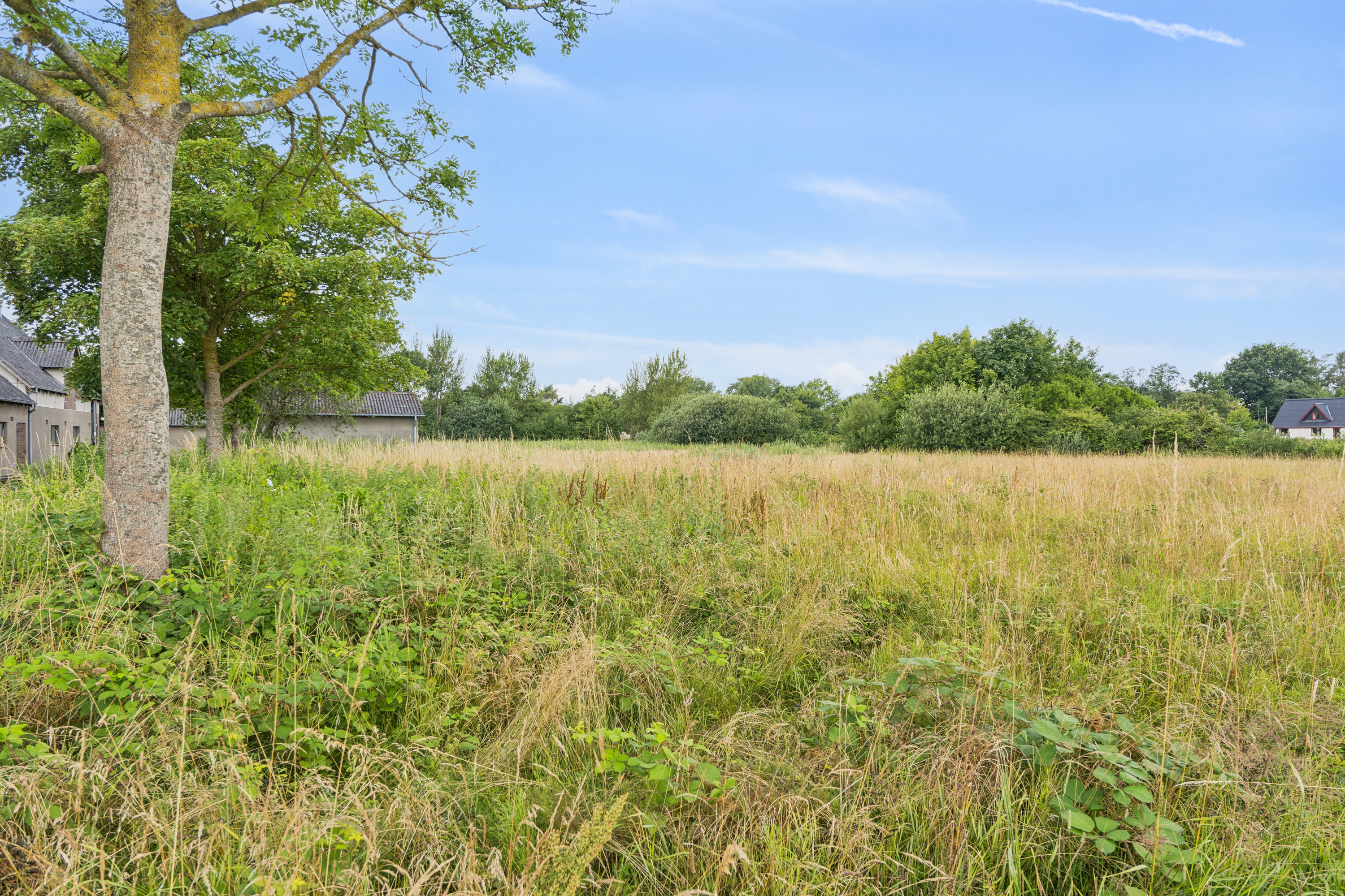 Fremhævet set fra haven billede i fuldskærmstilstand. Billede af Egensevej 32, Egense Mark, 5450 Otterup