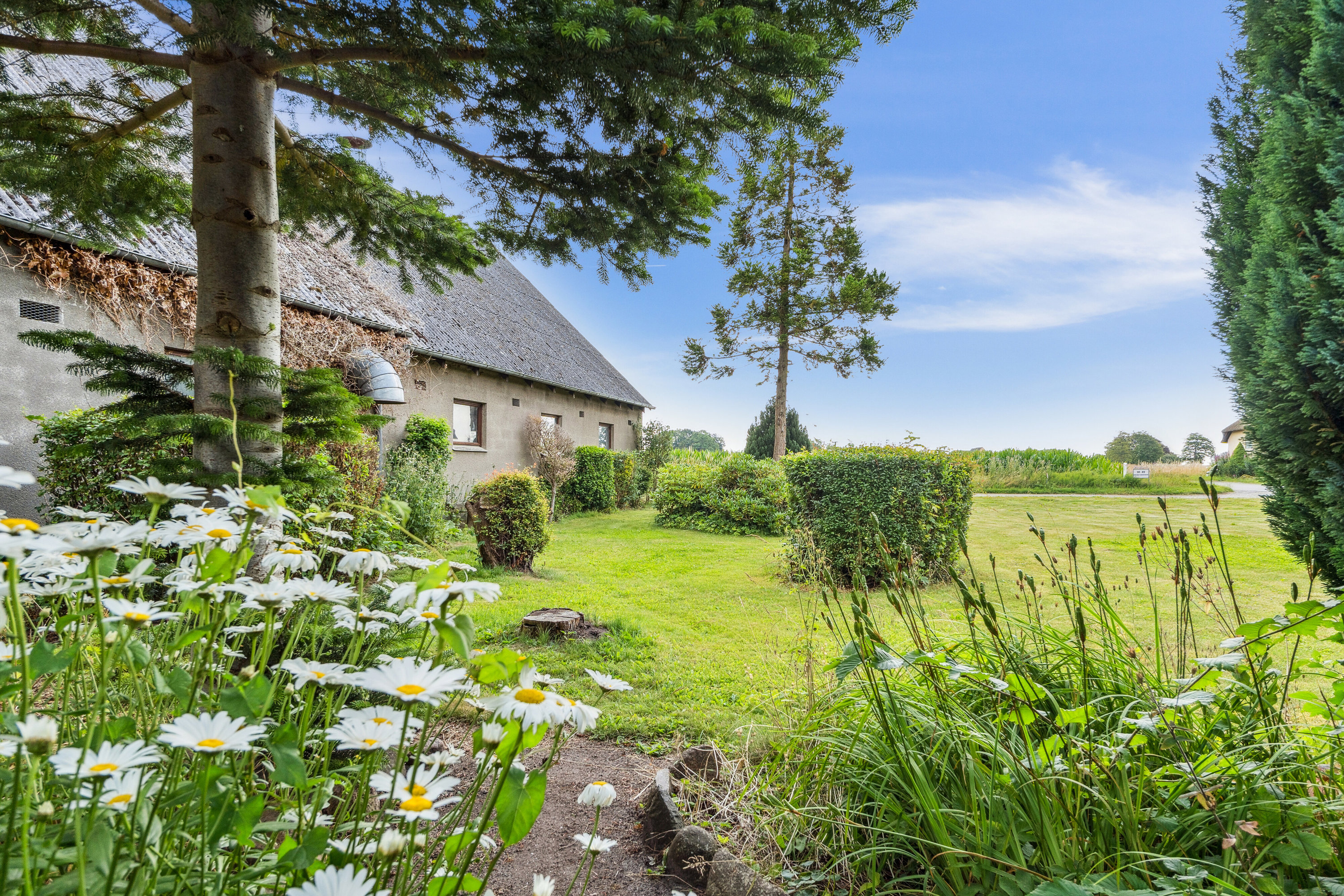 Fremhævet udendørs billede i fuldskærmstilstand. Billede af Egensevej 32, Egense Mark, 5450 Otterup