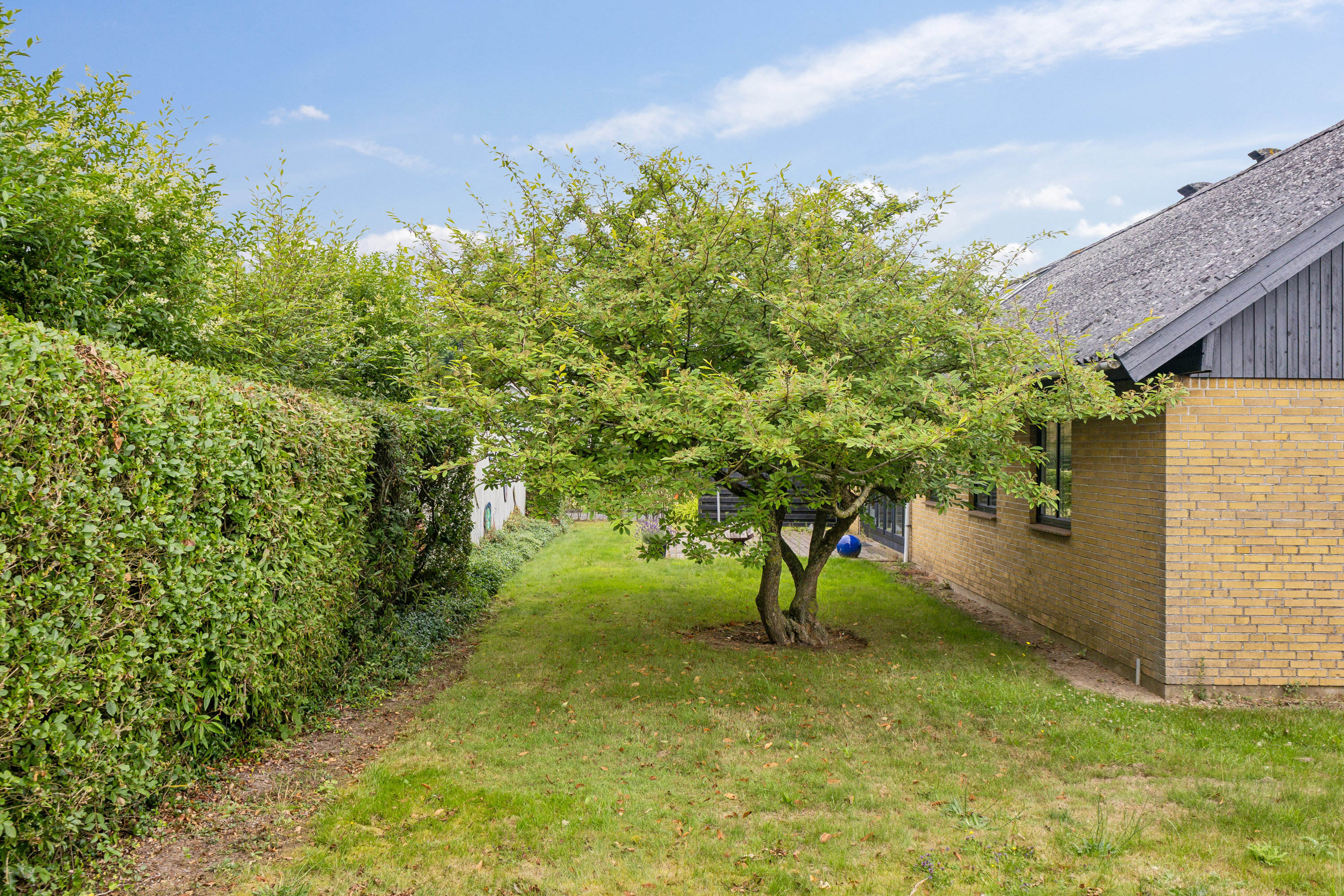 Fremhævet have billede i fuldskærmstilstand. Billede af Elmevej 9, Havnbjerg, 6430 Nordborg