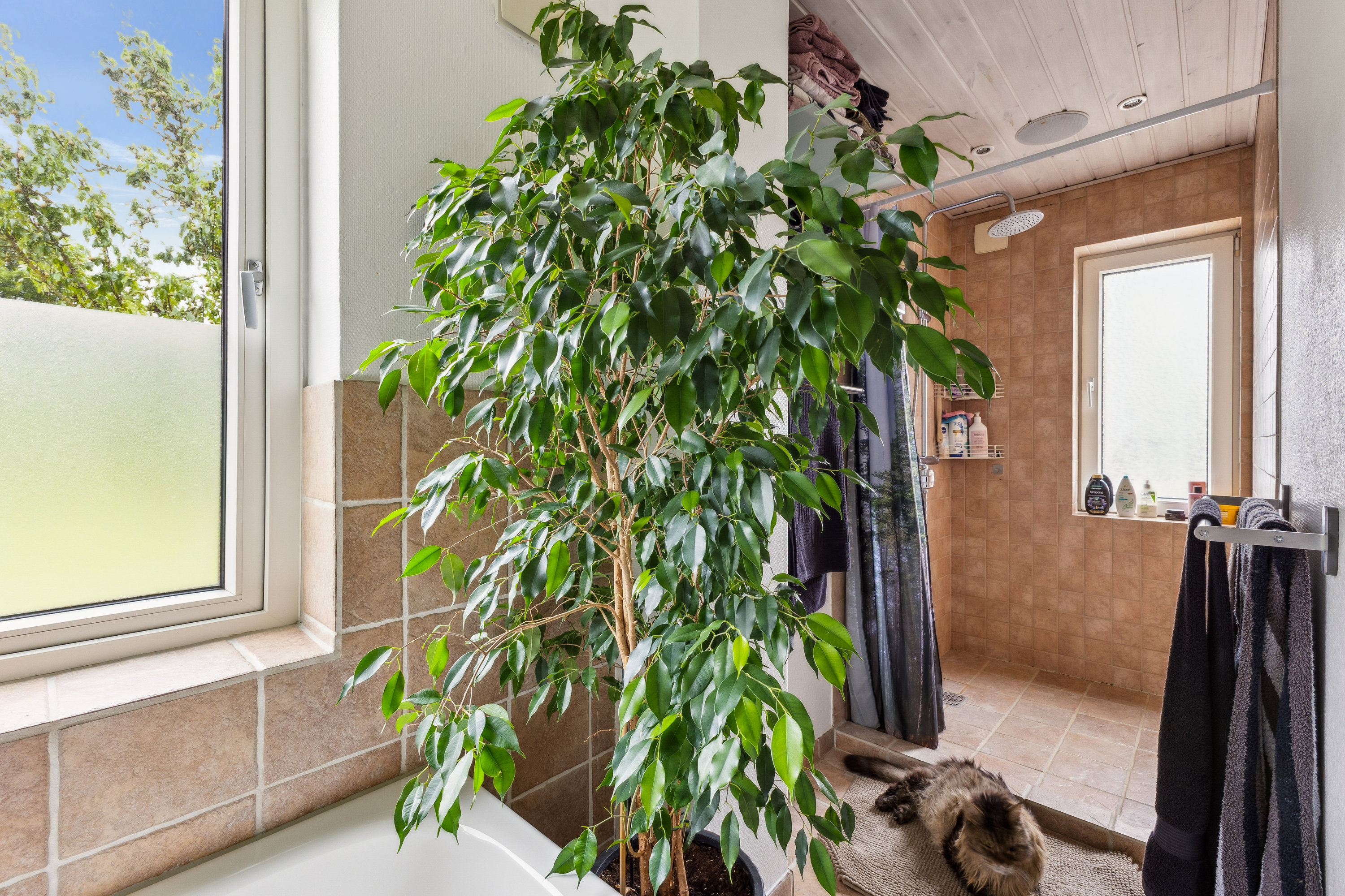 Fremhævet andet billede i fuldskærmstilstand. Billede af Skolevej 17, Vester Sottrup, 6400 Sønderborg