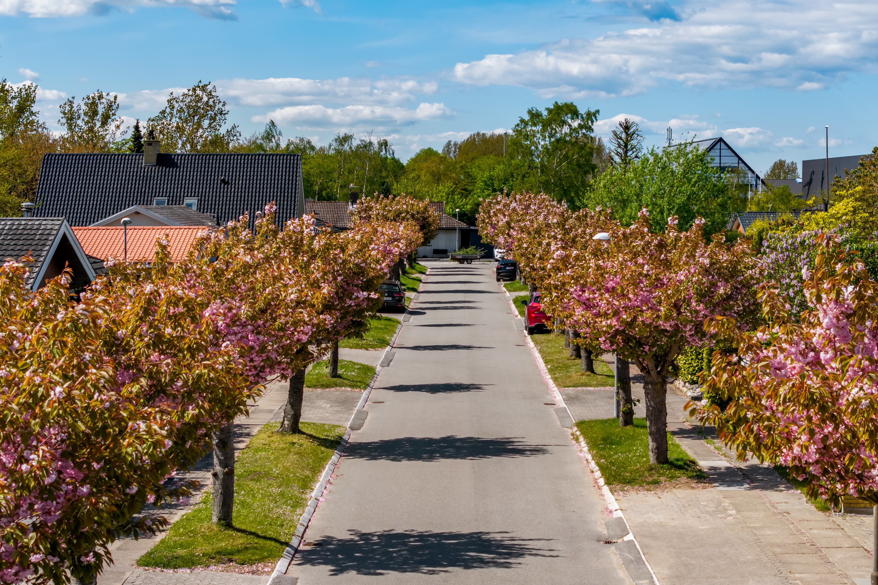 Fremhævet  billede i fuldskærmstilstand. Billede af Lillevangsparken 27, 2670 Greve