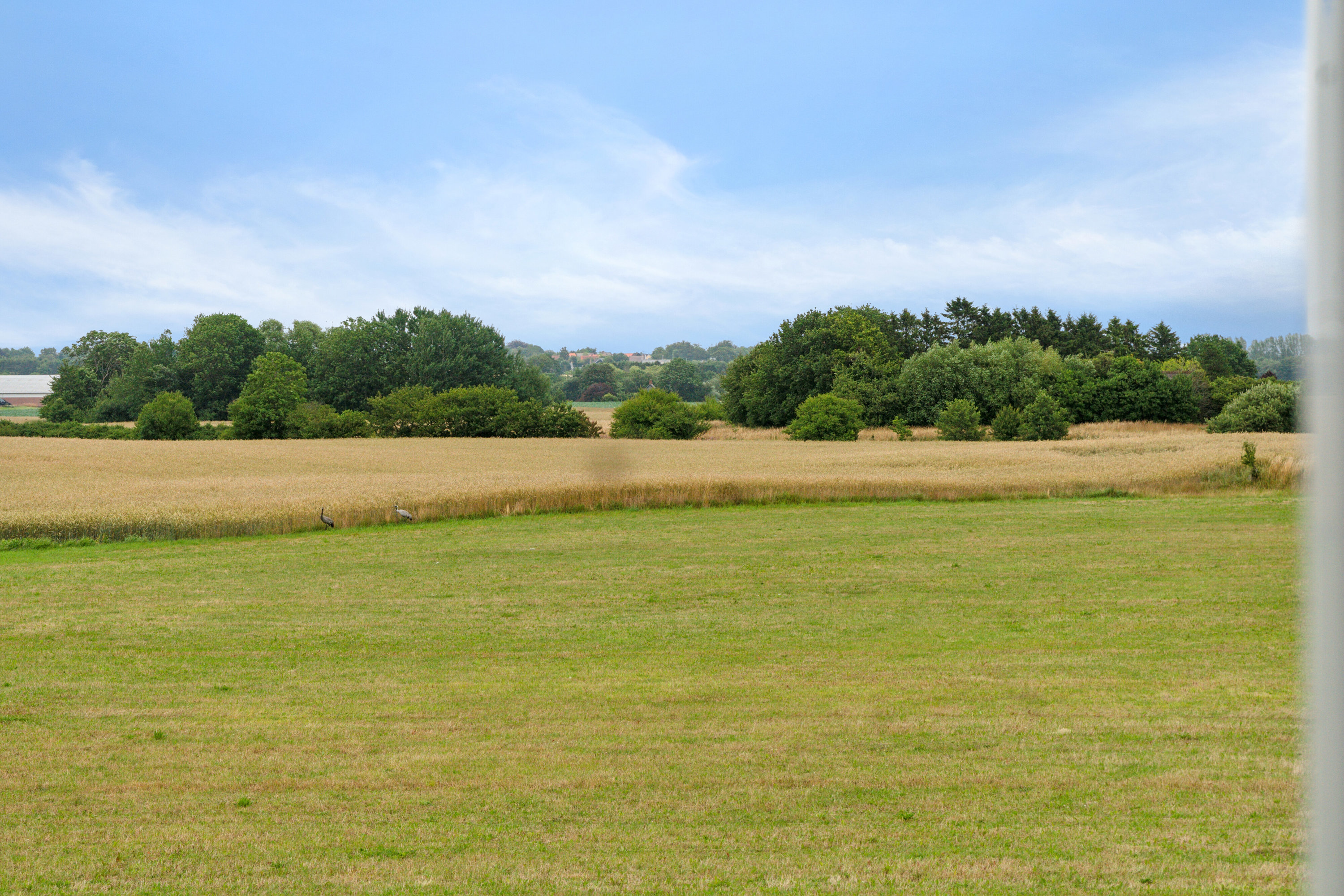 Fremhævet omgivelser billede i fuldskærmstilstand. Billede af Savmøllevej 4, Østermarie, 3751 Østermarie