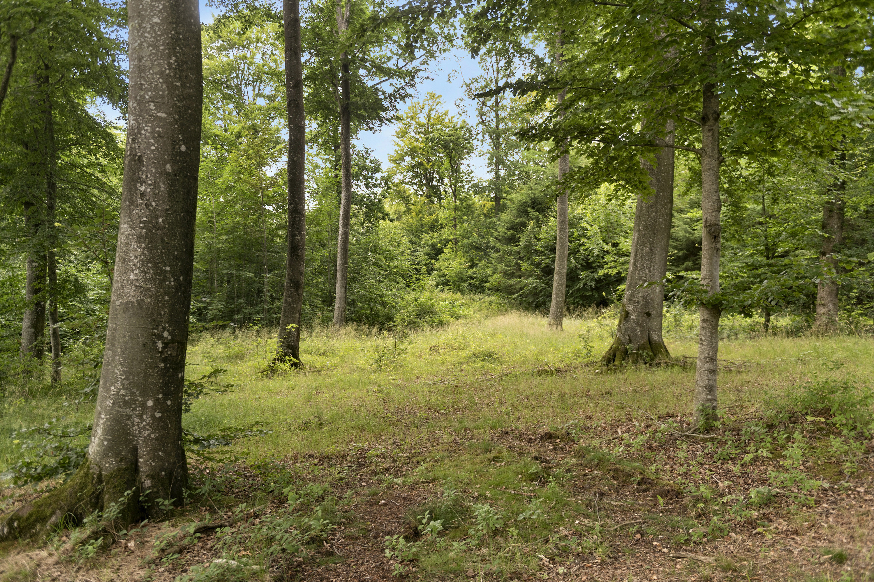 Fremhævet område billede i fuldskærmstilstand. Billede af Hoptrup Hovedgade 131, Hoptrup, 6100 Haderslev