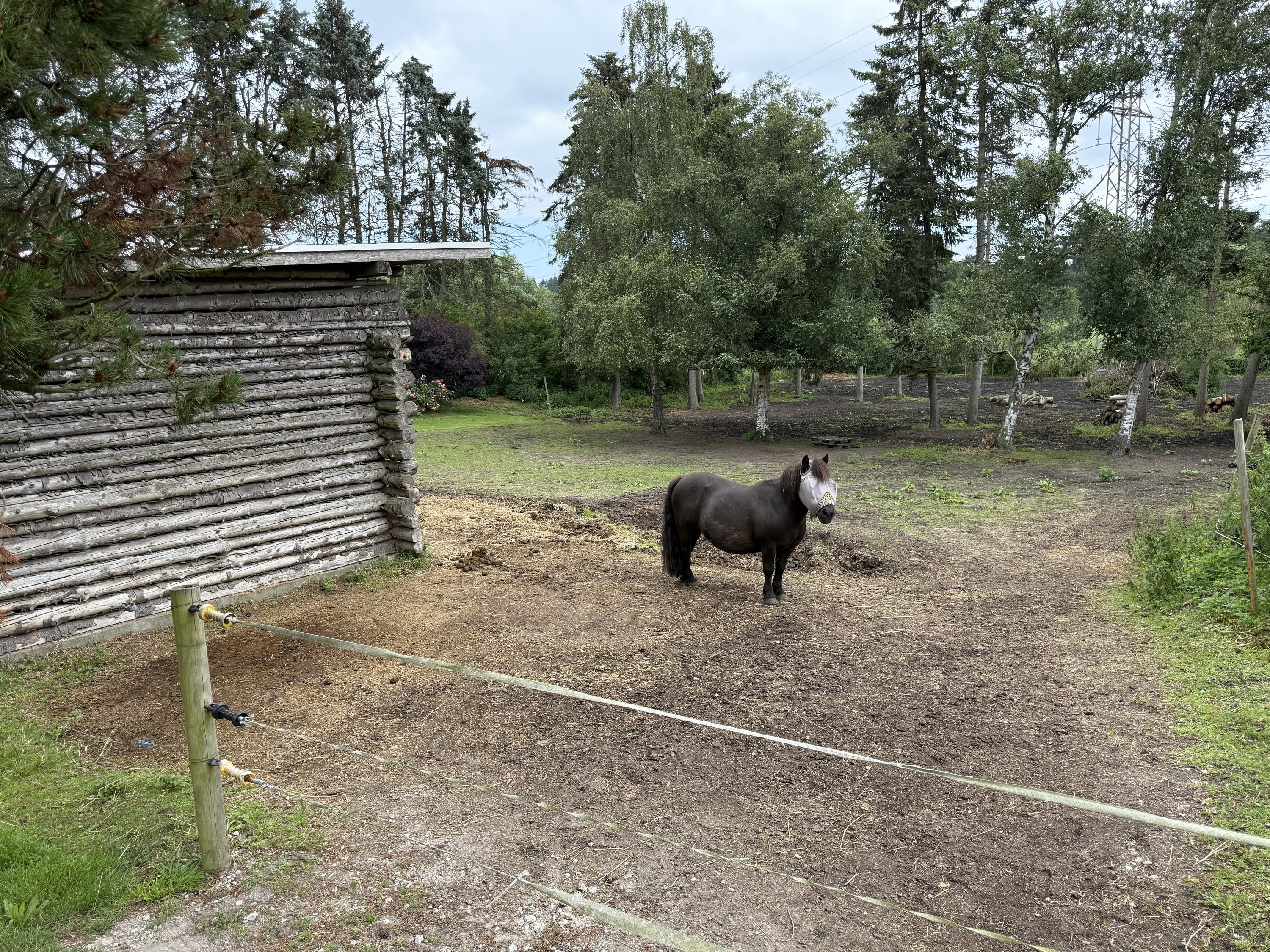 Fremhævet  billede i fuldskærmstilstand. Billede af Snubbekorsvej 13, Vridsløsemagle, 2630 Taastrup